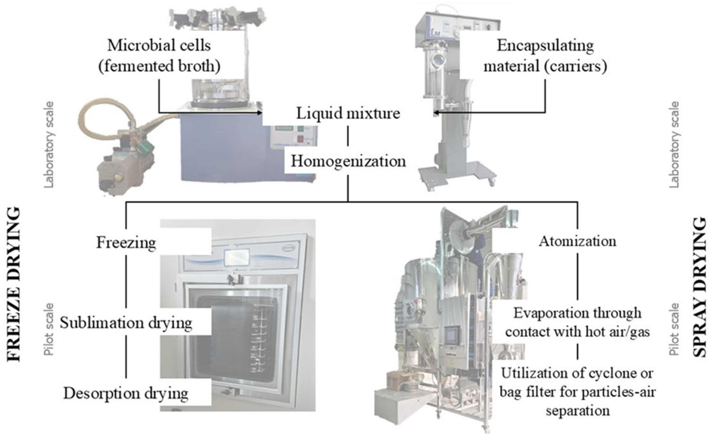 Processes 13 02188 g003