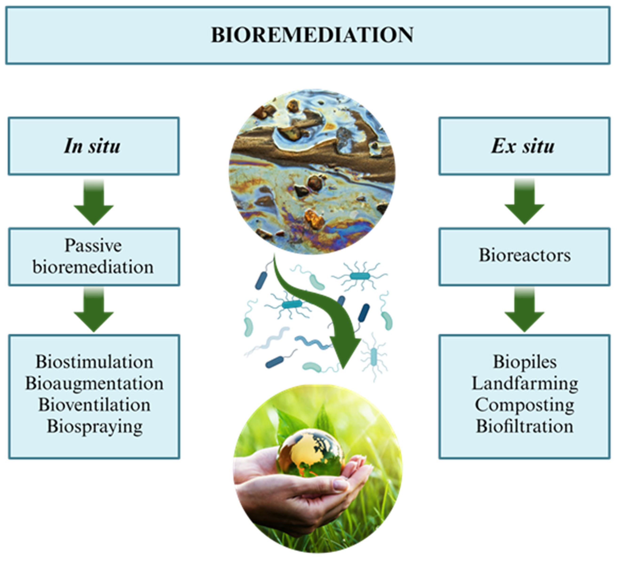 Processes 13 02250 g001