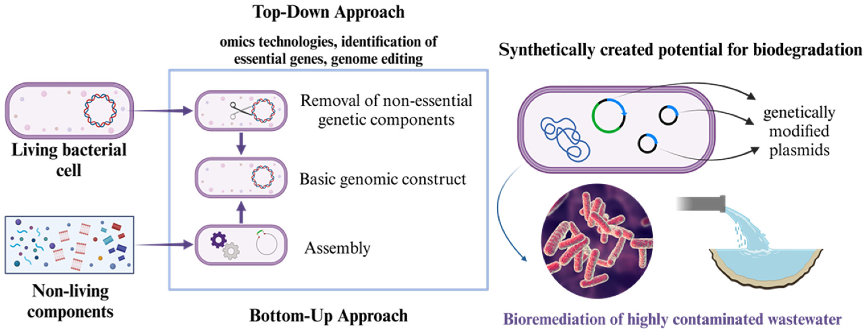 Processes 13 02250 g004