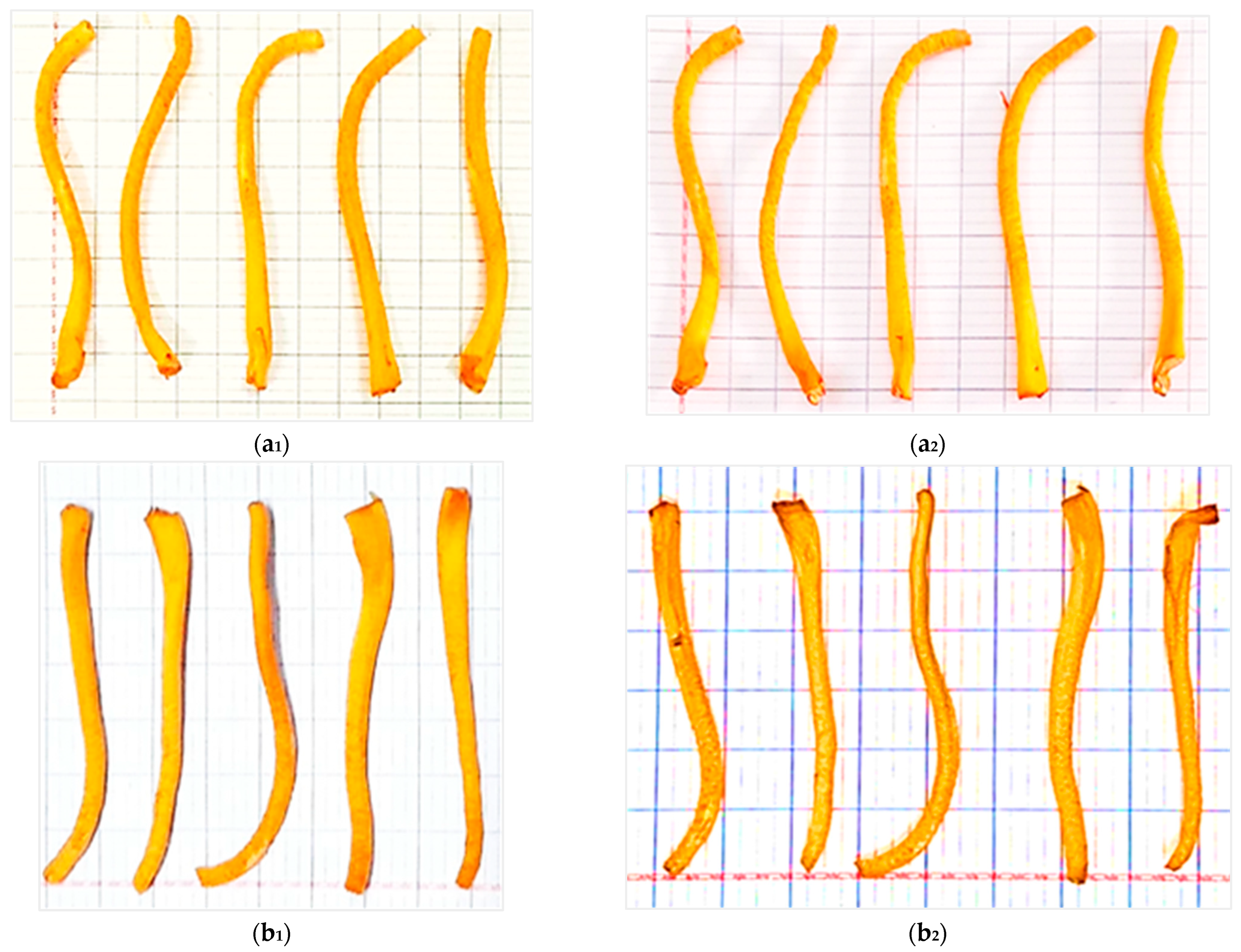Processes 13 02269 g007