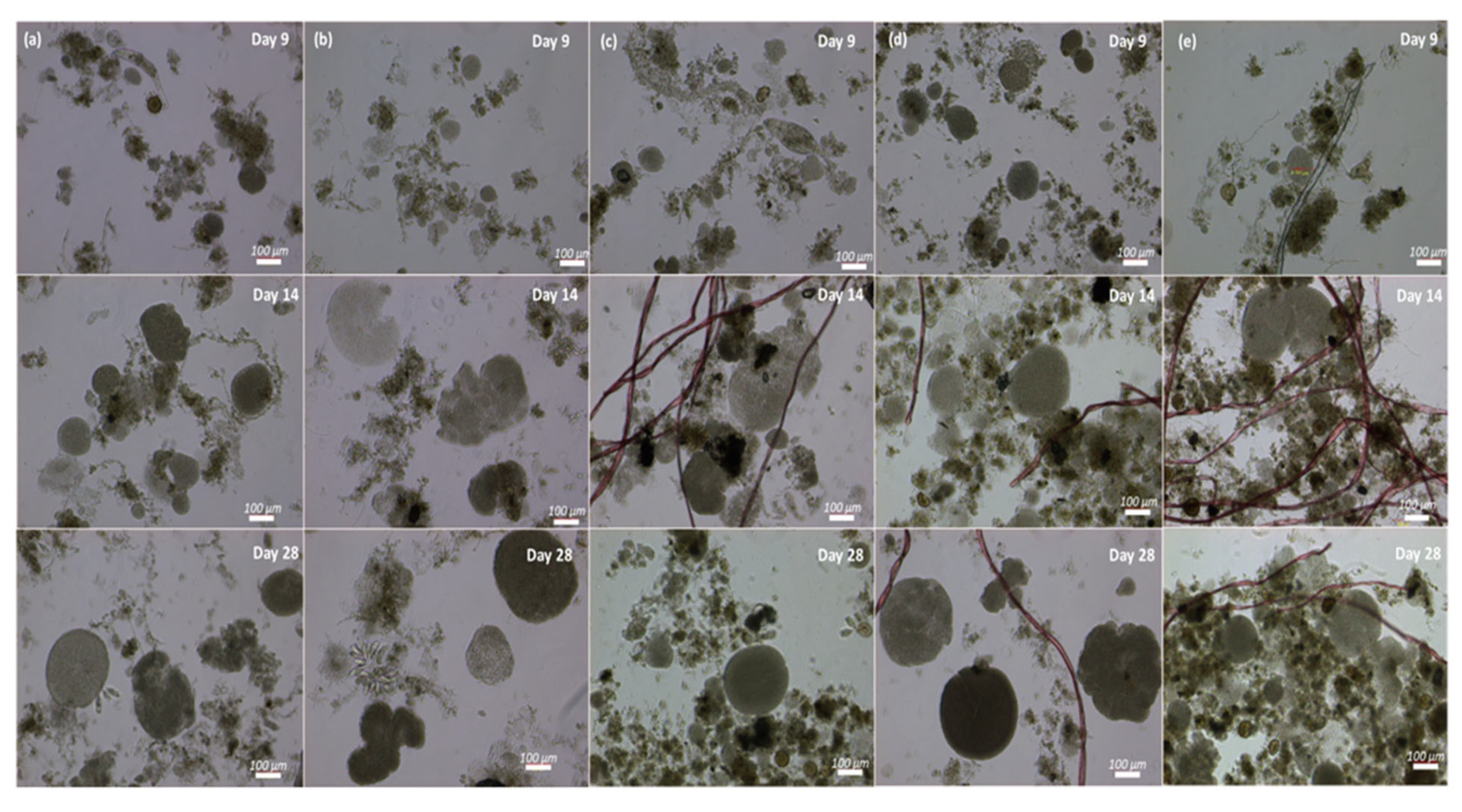 Processes 13 02272 g005