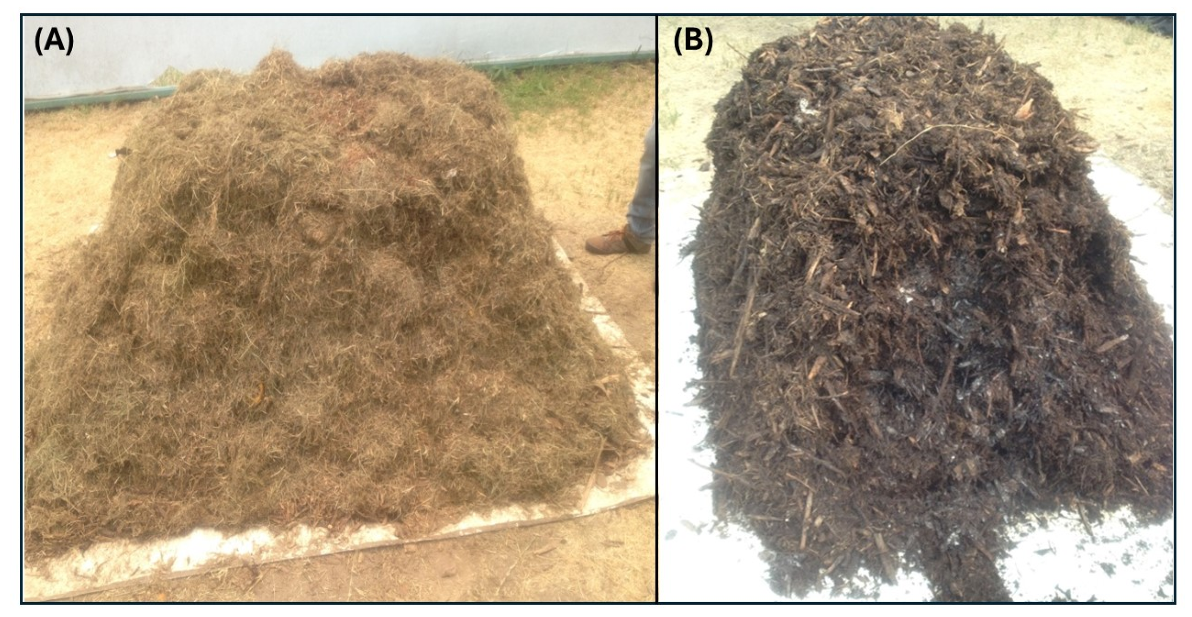 Processes 13 02285 g001