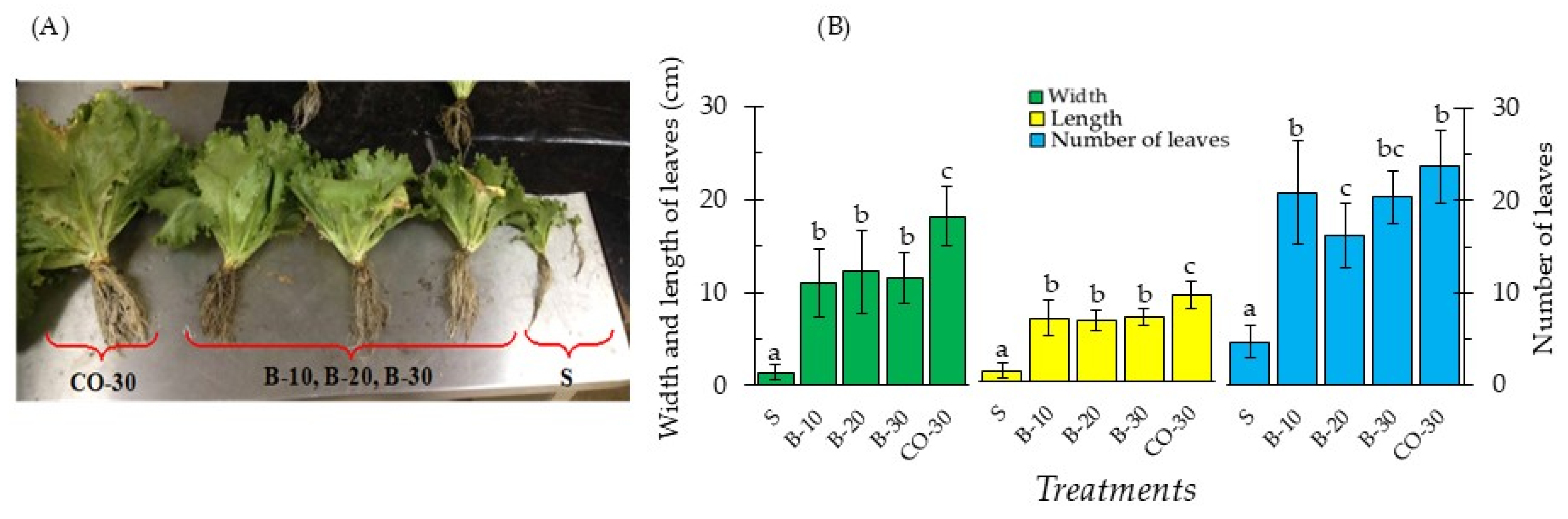 Processes 13 02285 g005