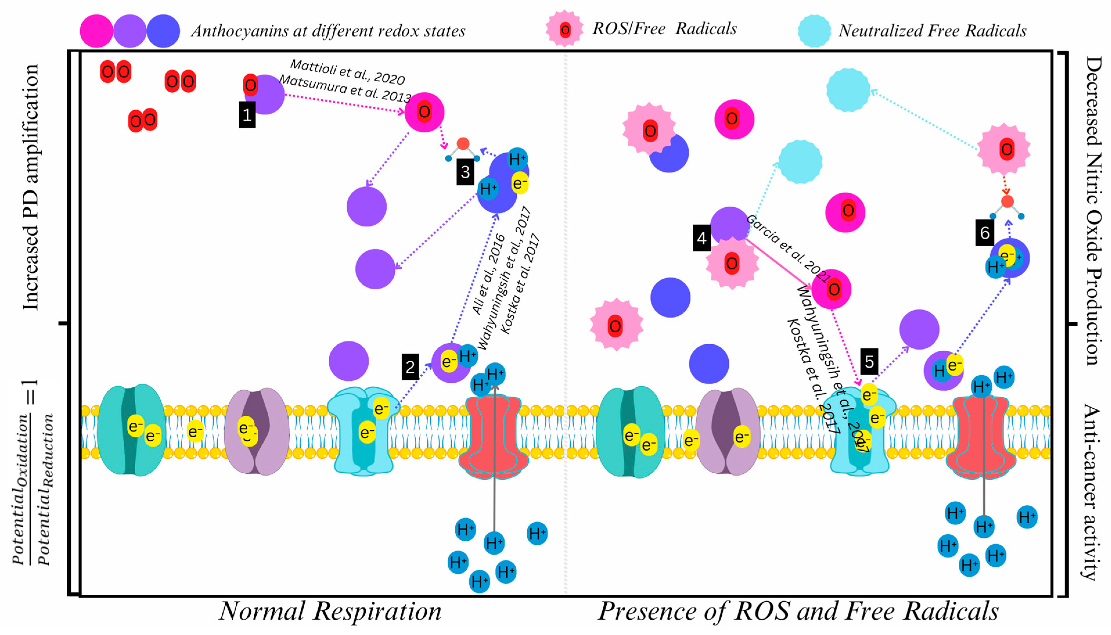 Processes 13 02290 g009