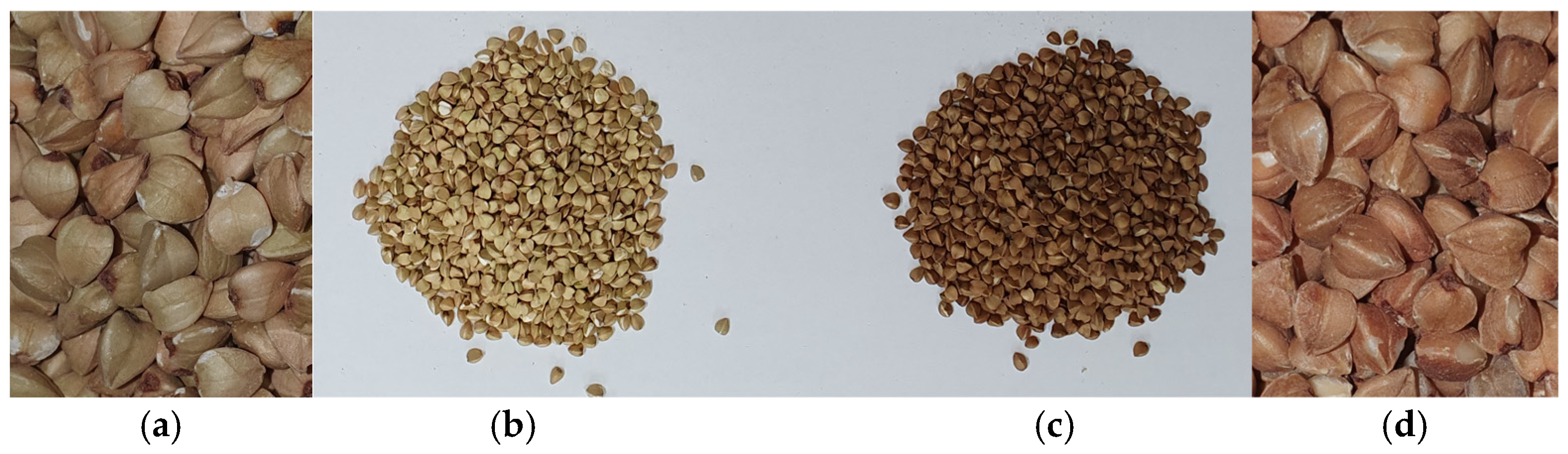 Processes 13 02309 g001