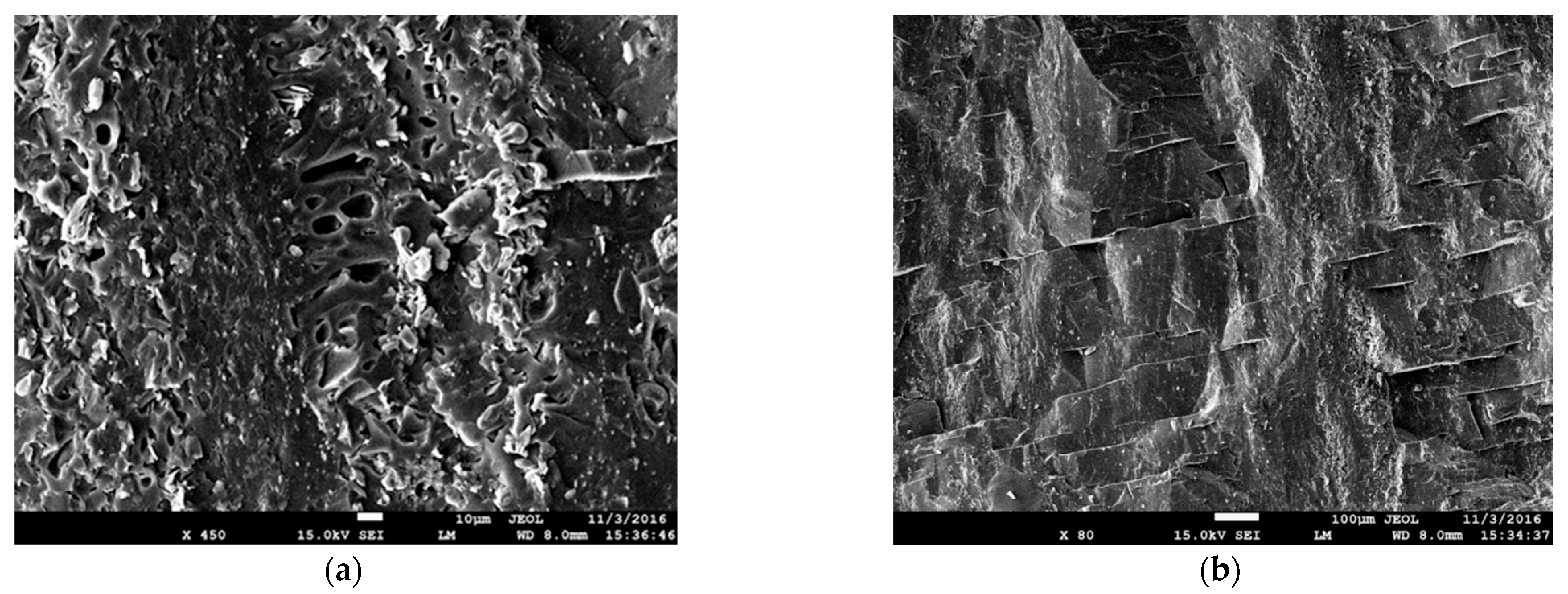 Processes 13 02318 g002