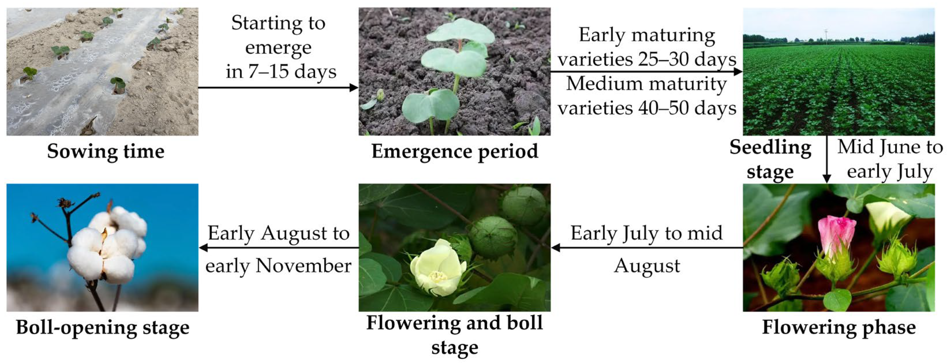Processes 13 02329 g006