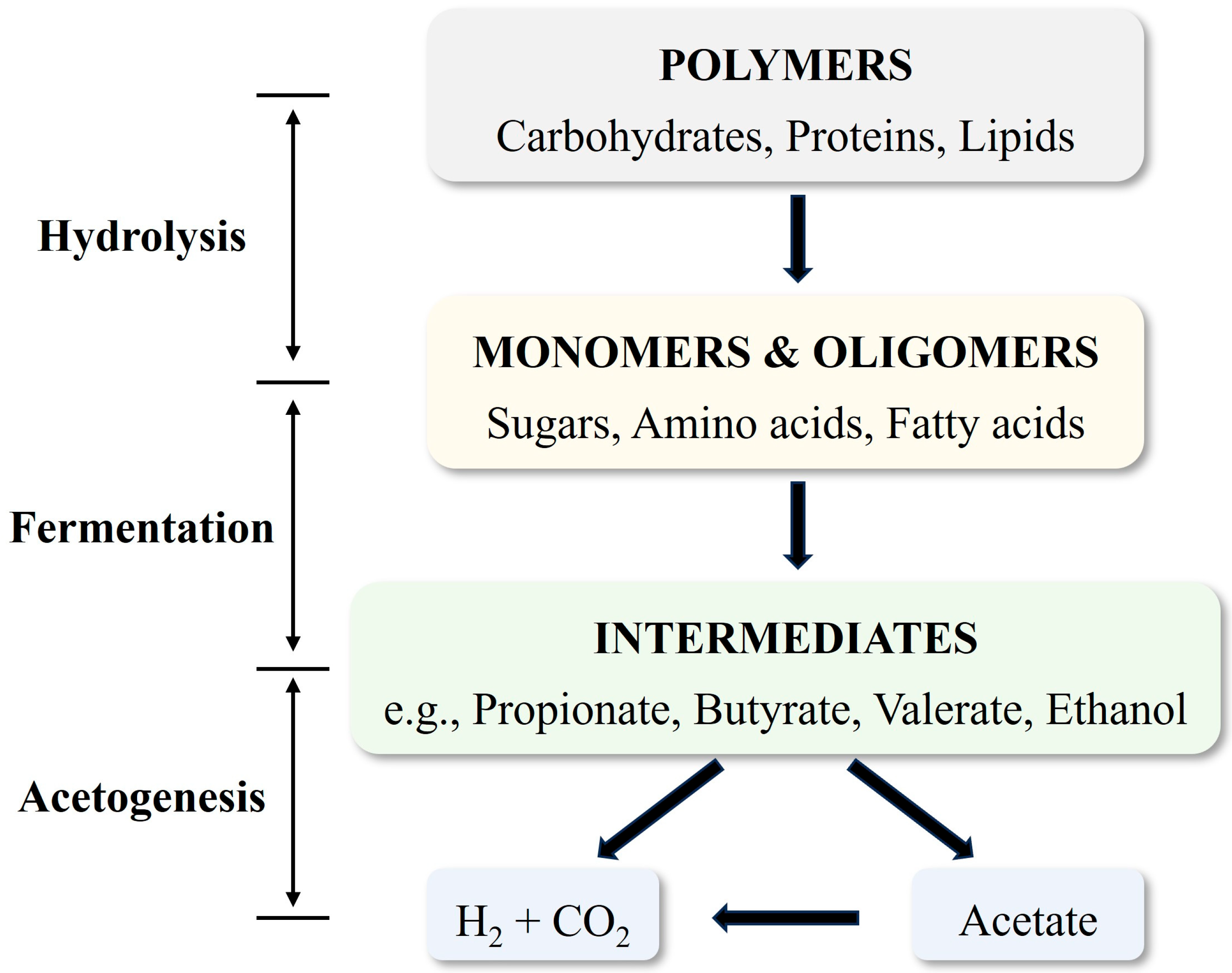 Processes 13 02343 g001