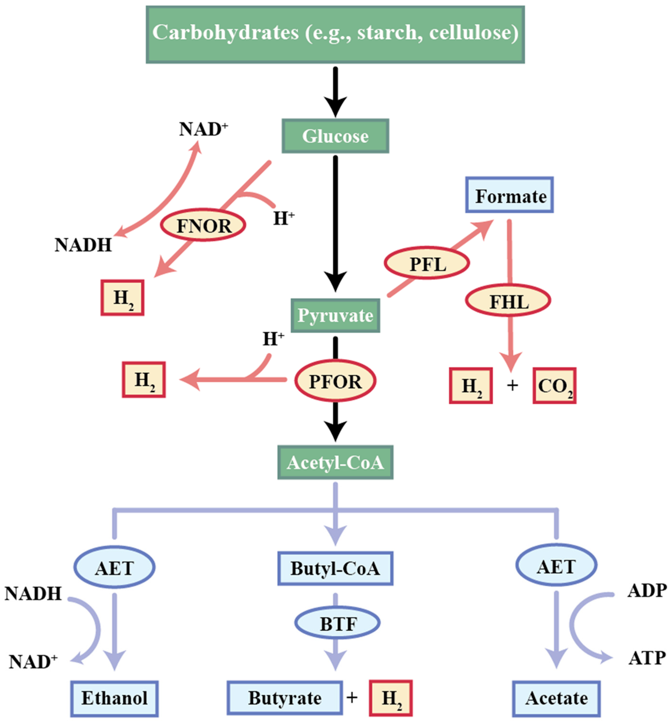 Processes 13 02343 g002