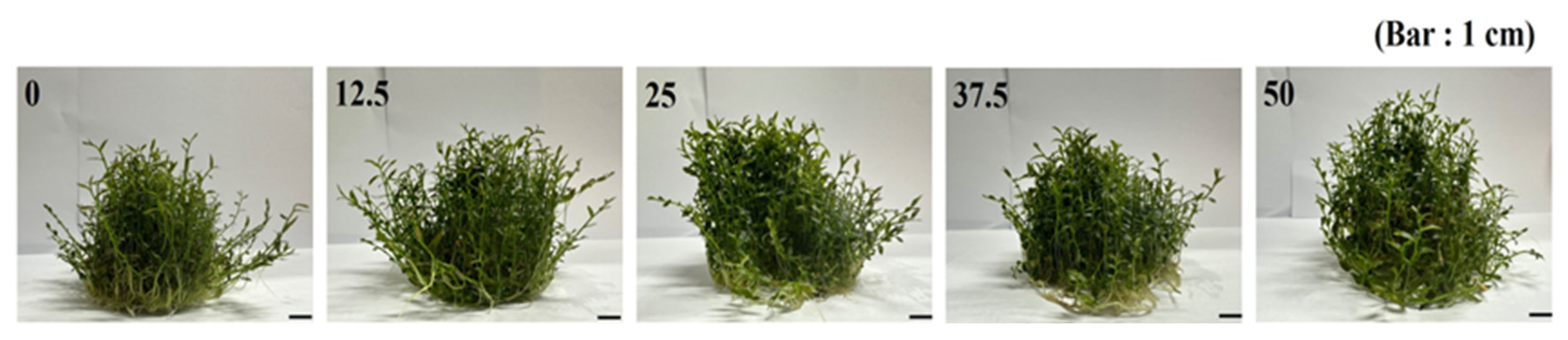 Processes 13 02370 g001