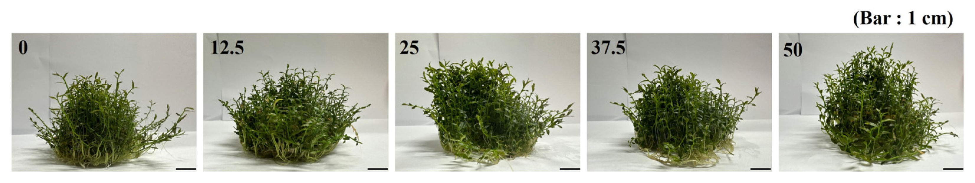 Processes 13 02370 g009