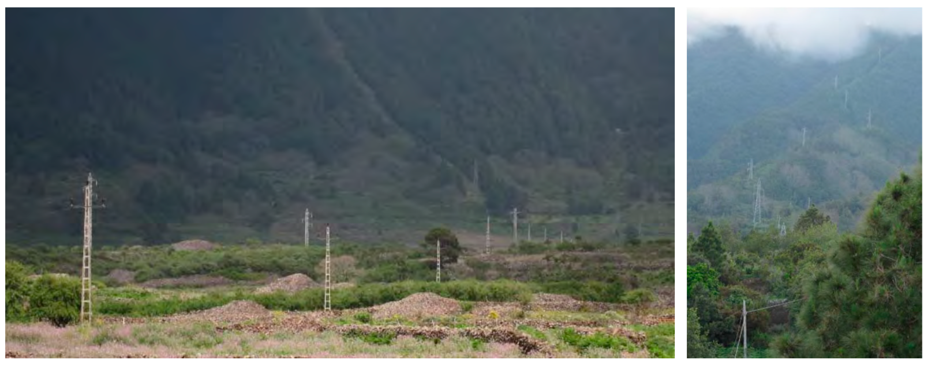 Processes 13 02374 g004