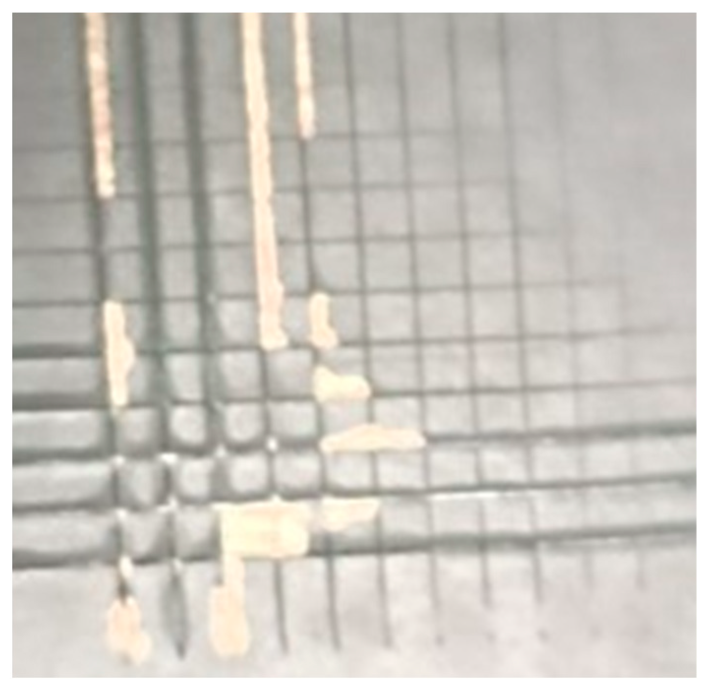 Processes 13 02394 g030