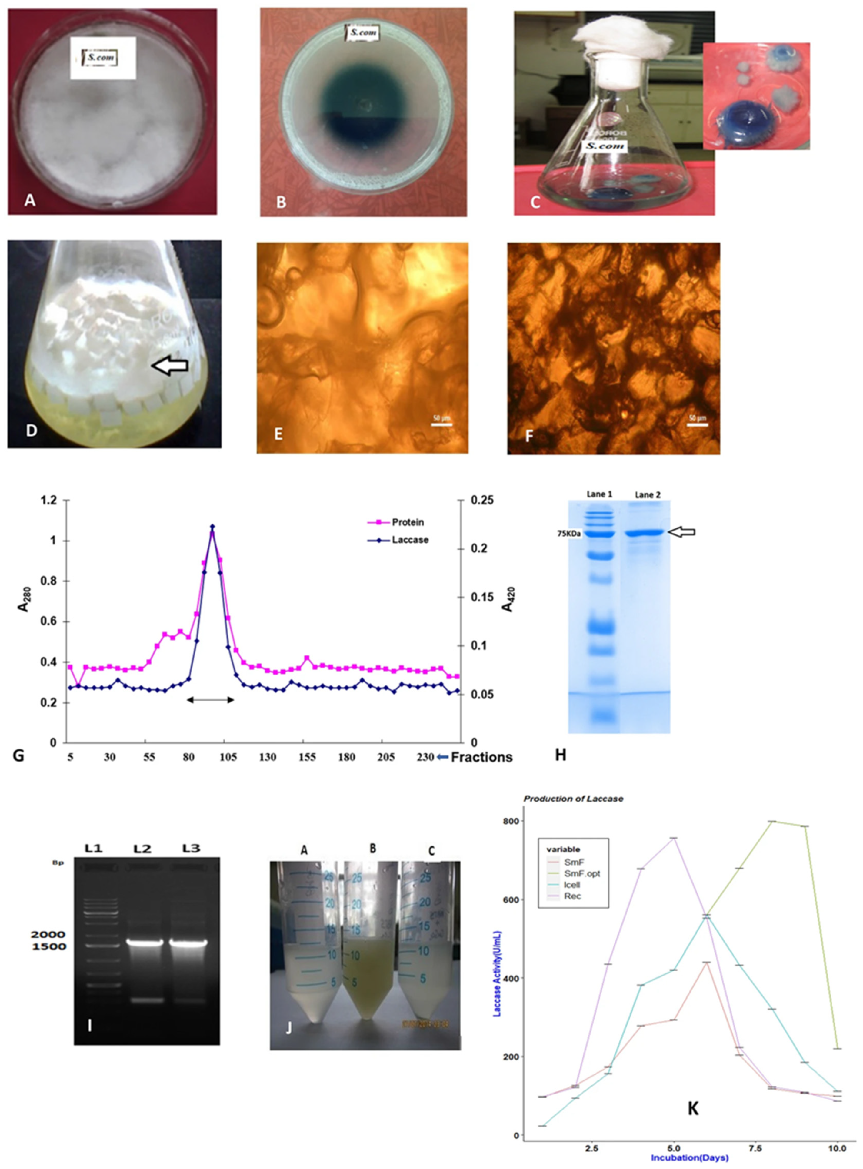 Processes 13 02431 g008