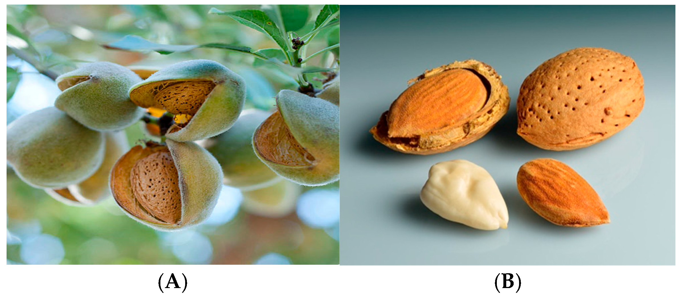 Processes 13 02444 g002 Processes 13 02444 g002