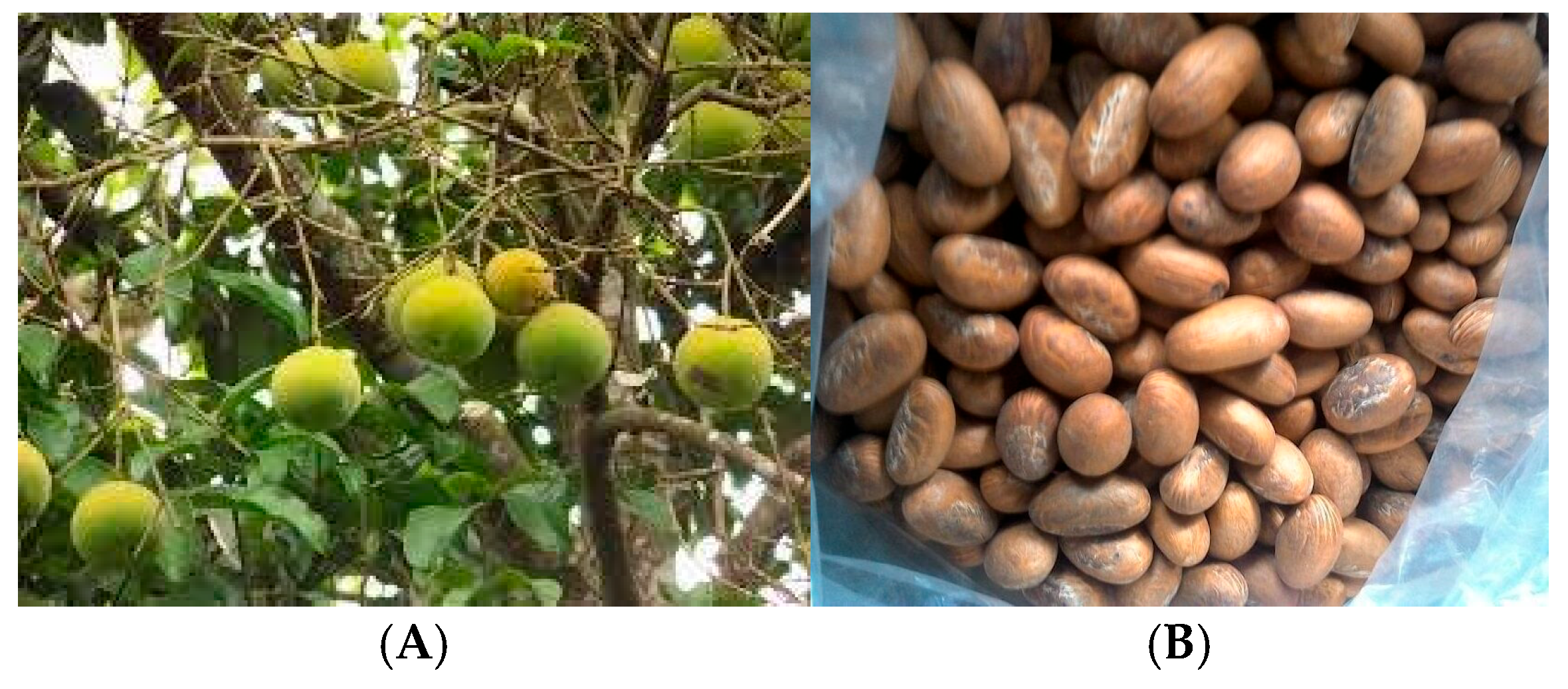 Processes 13 02444 g008 Processes 13 02444 g008