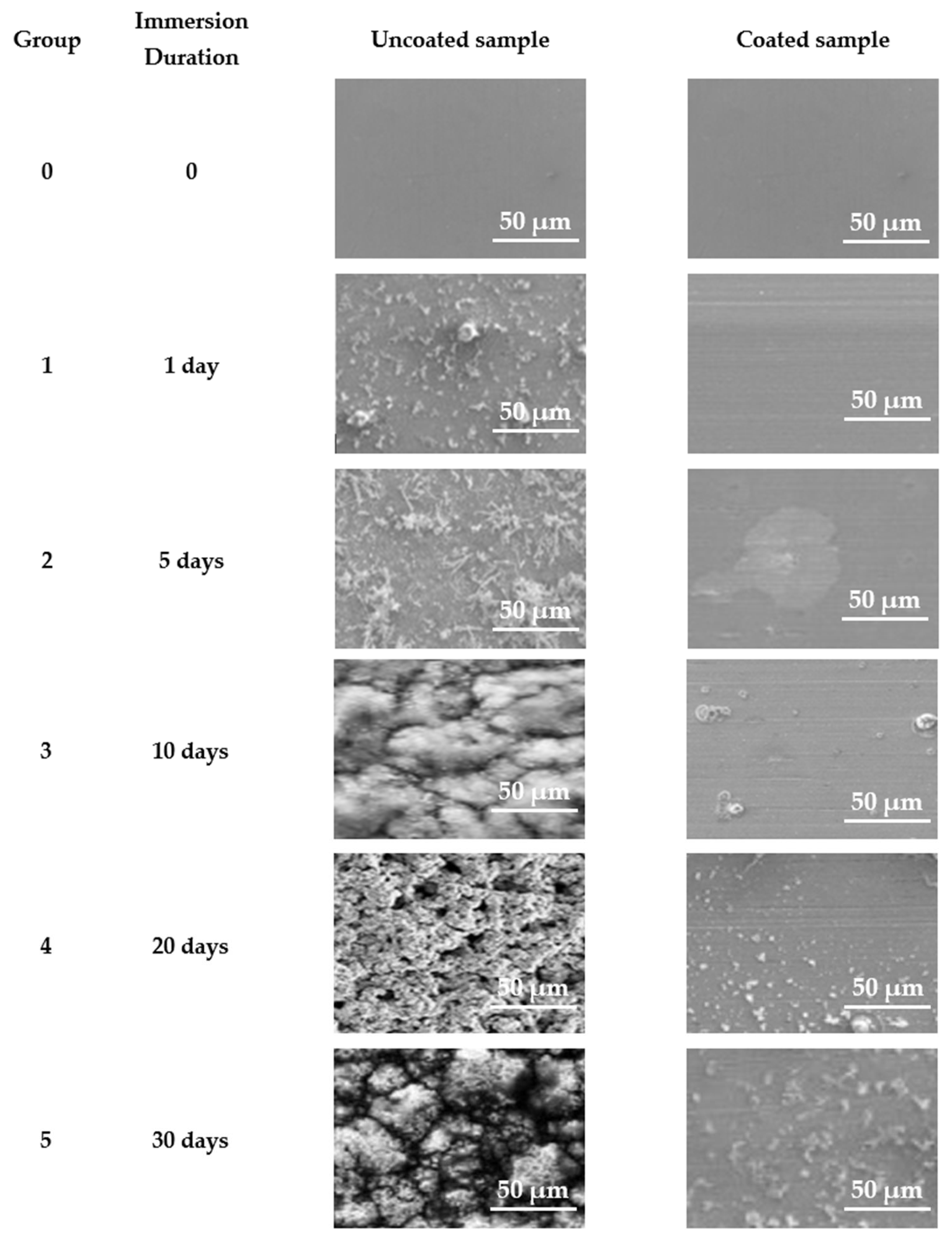 Processes 13 02448 g020