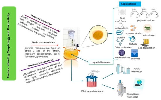 Processes 13 02452 g001