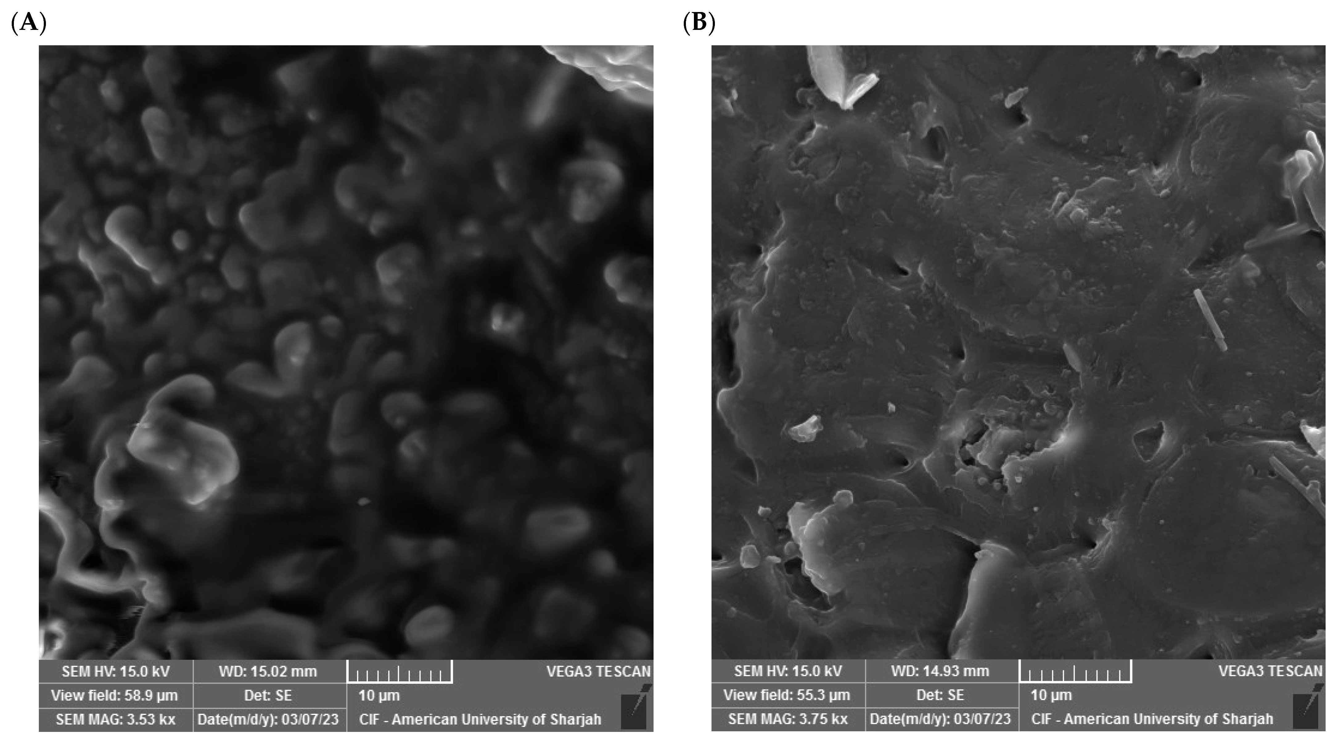 Processes 13 02464 g003