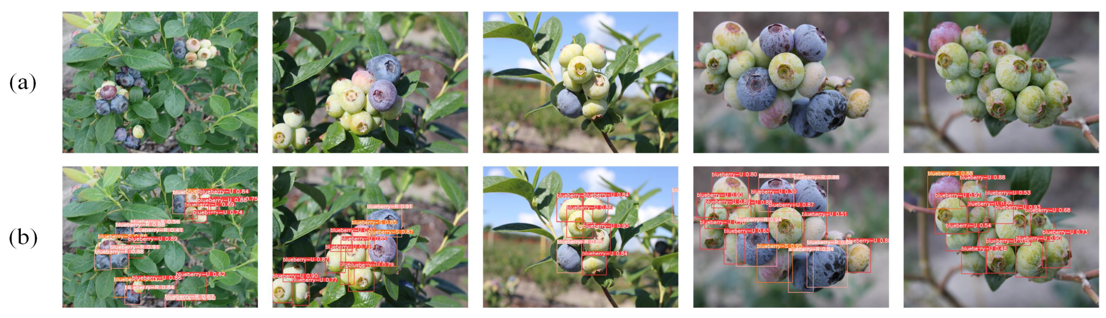 Processes 13 02518 g012