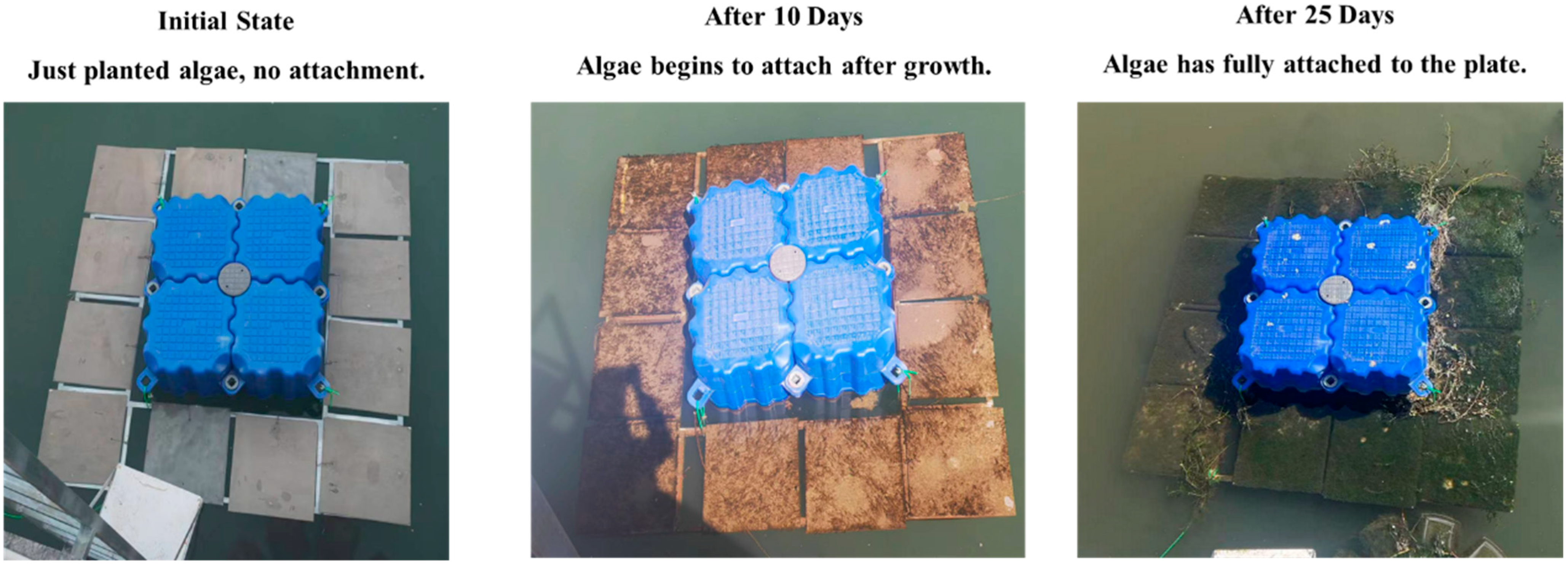 Processes 13 02551 g004