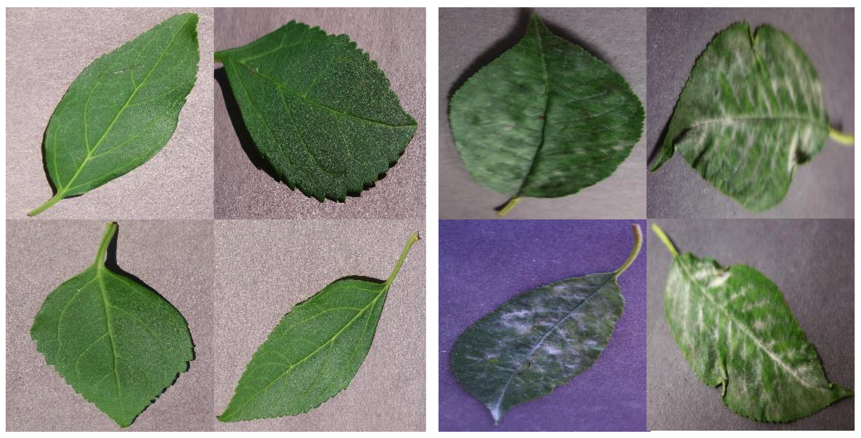 Processes 13 02559 g005