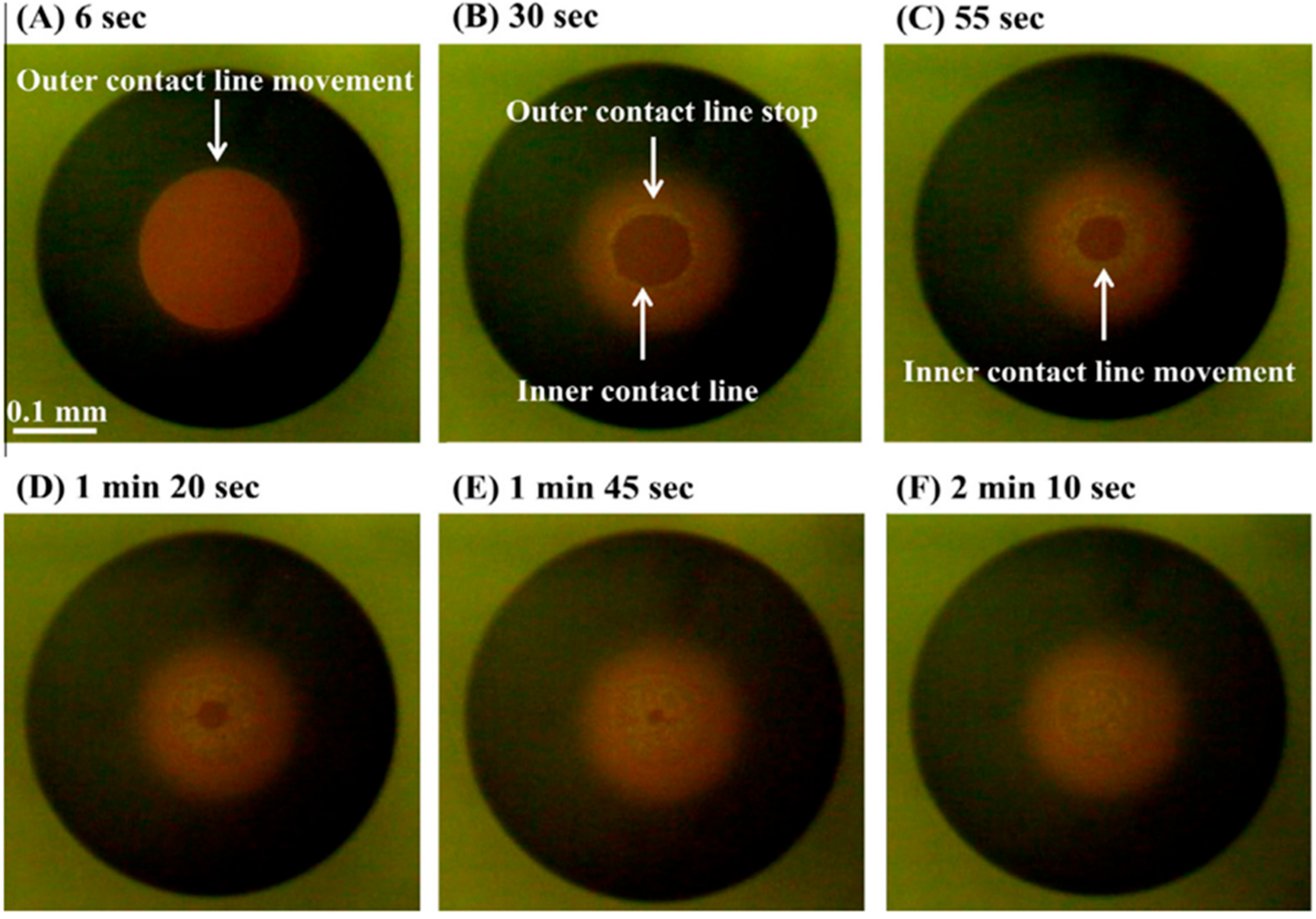 Processes 13 02636 g011