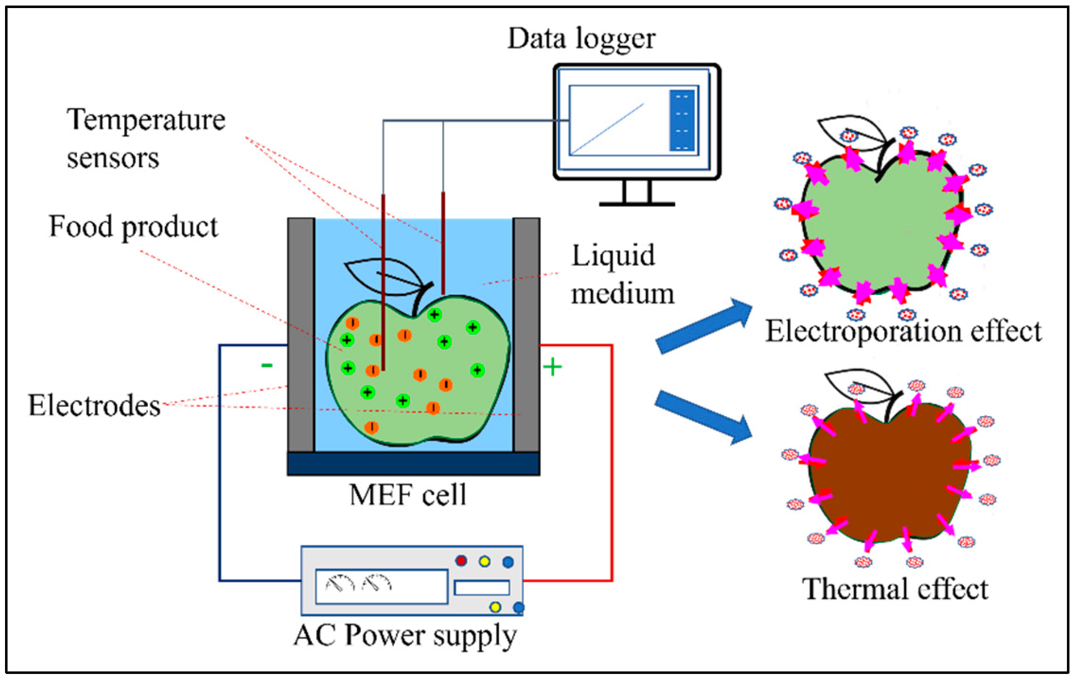 Processes 13 02662 g001