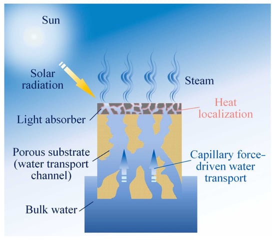 Processes 13 02679 g002