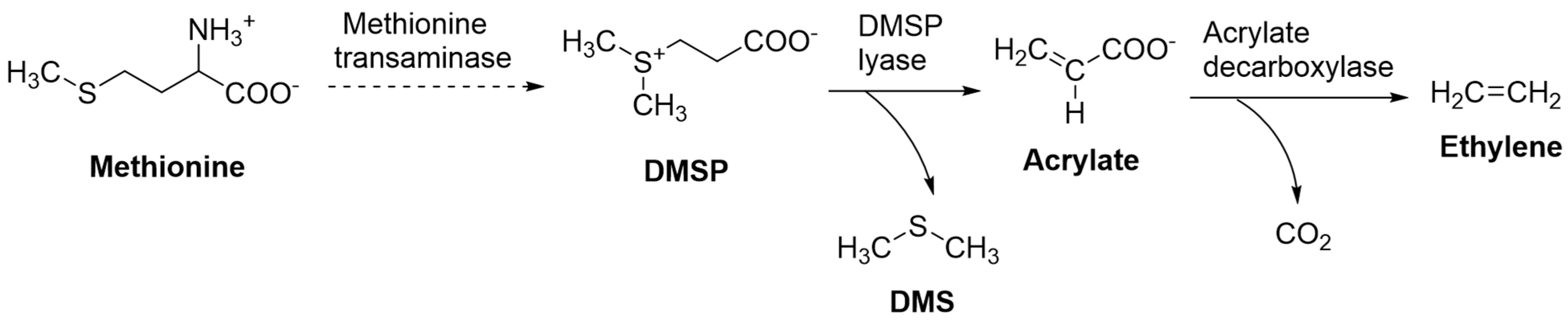 Processes 13 02685 g003
