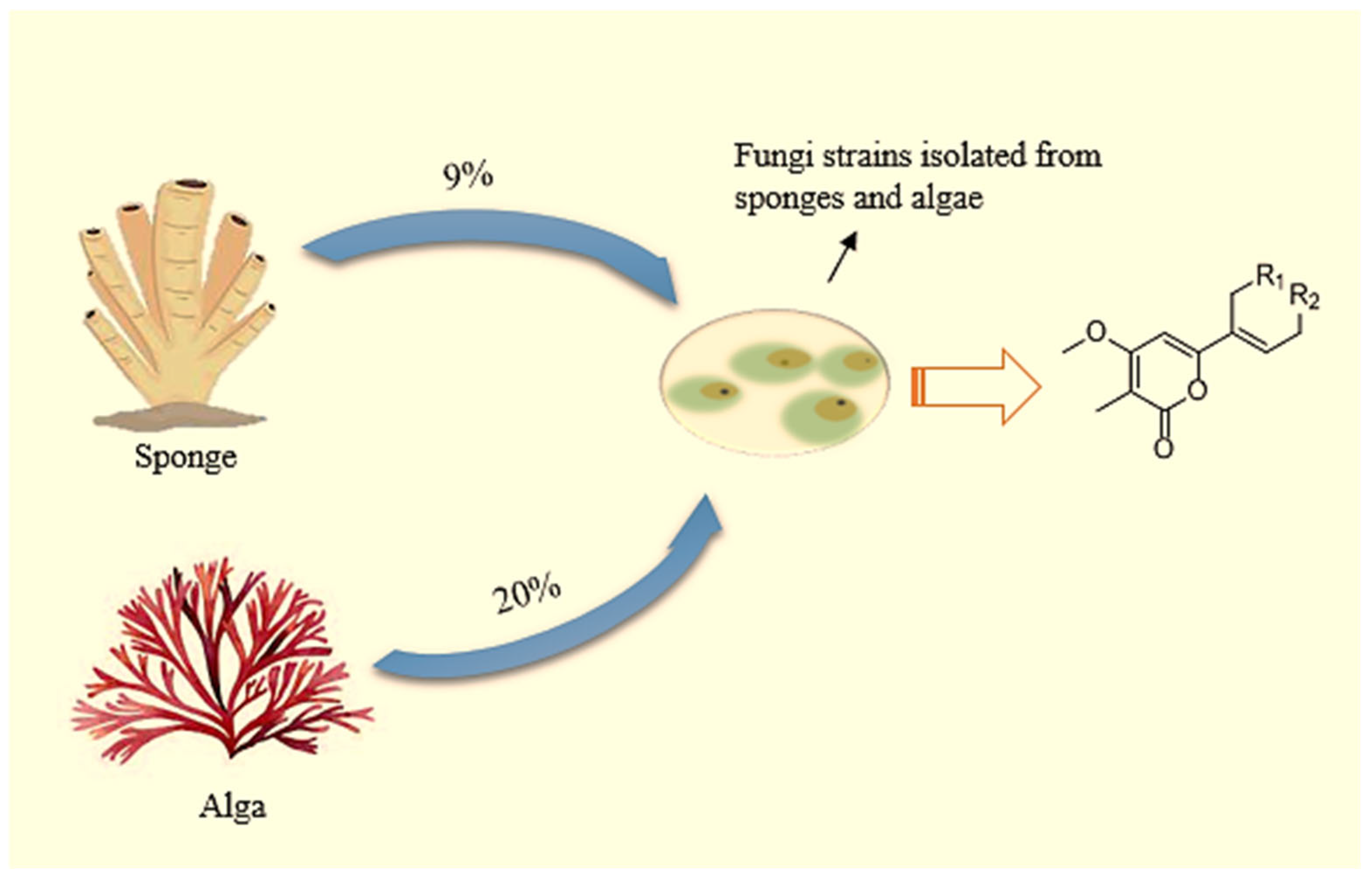 Processes 13 02685 g007