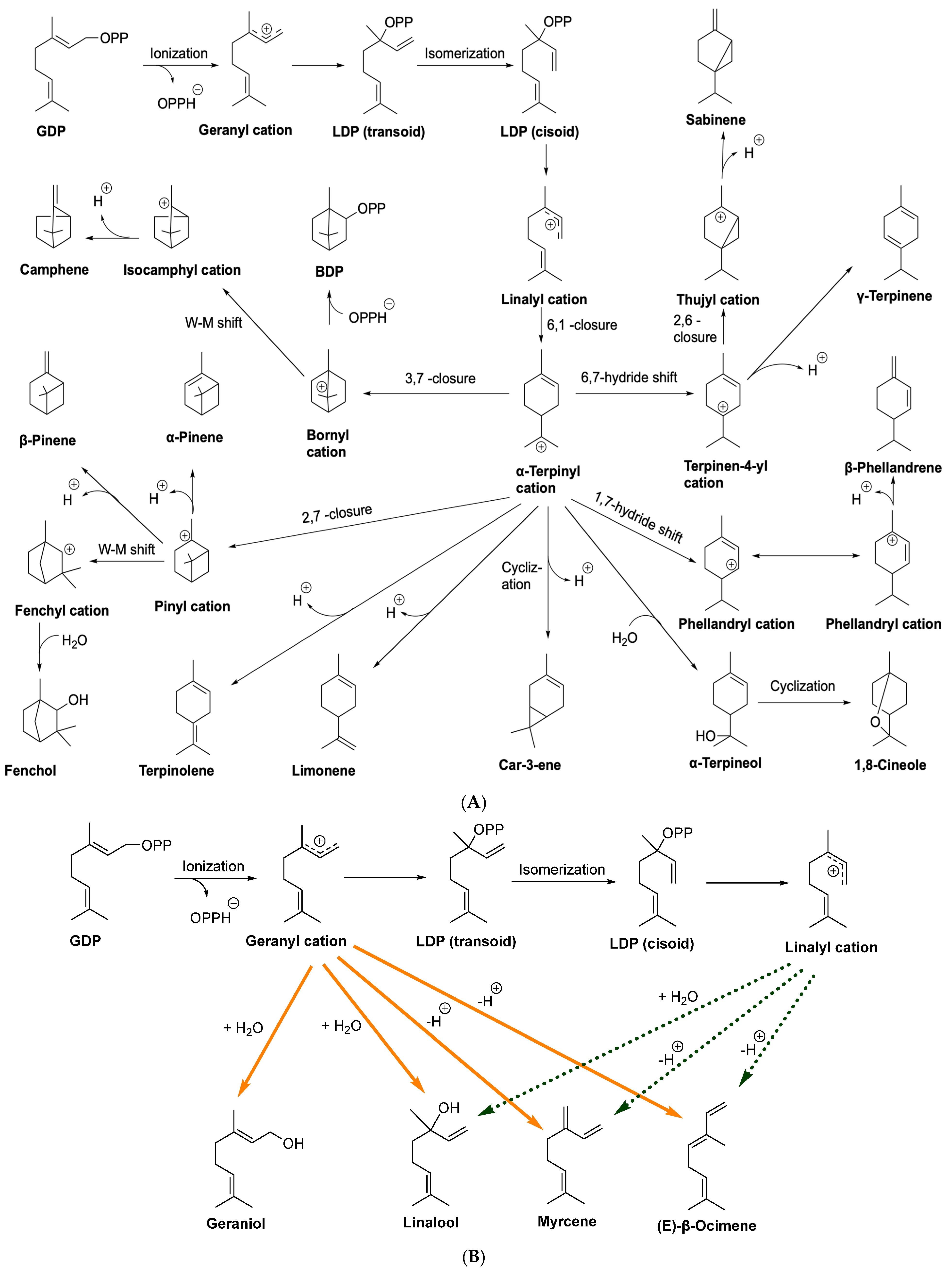 Processes 13 02685 g008