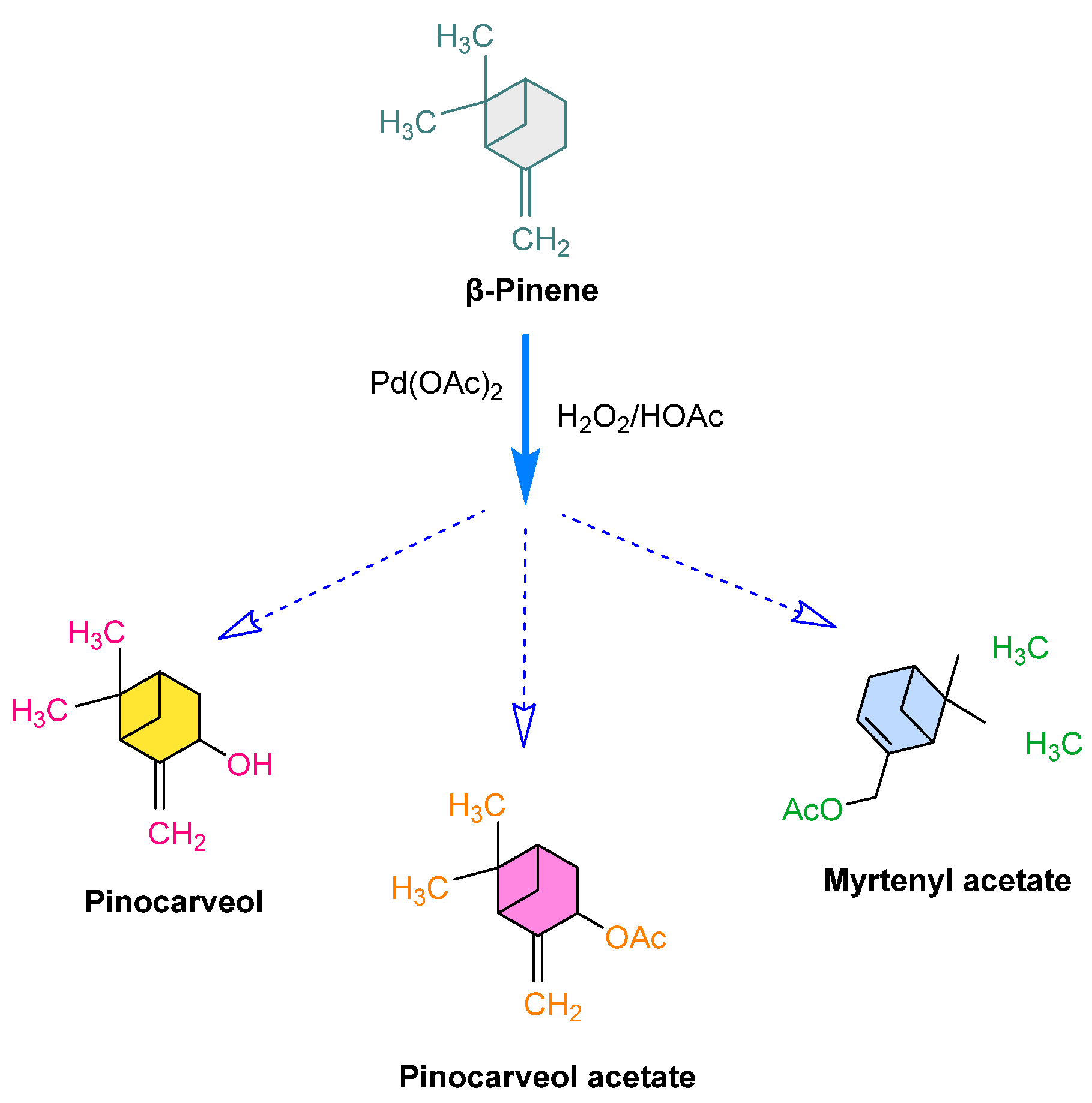 Processes 13 02685 g011