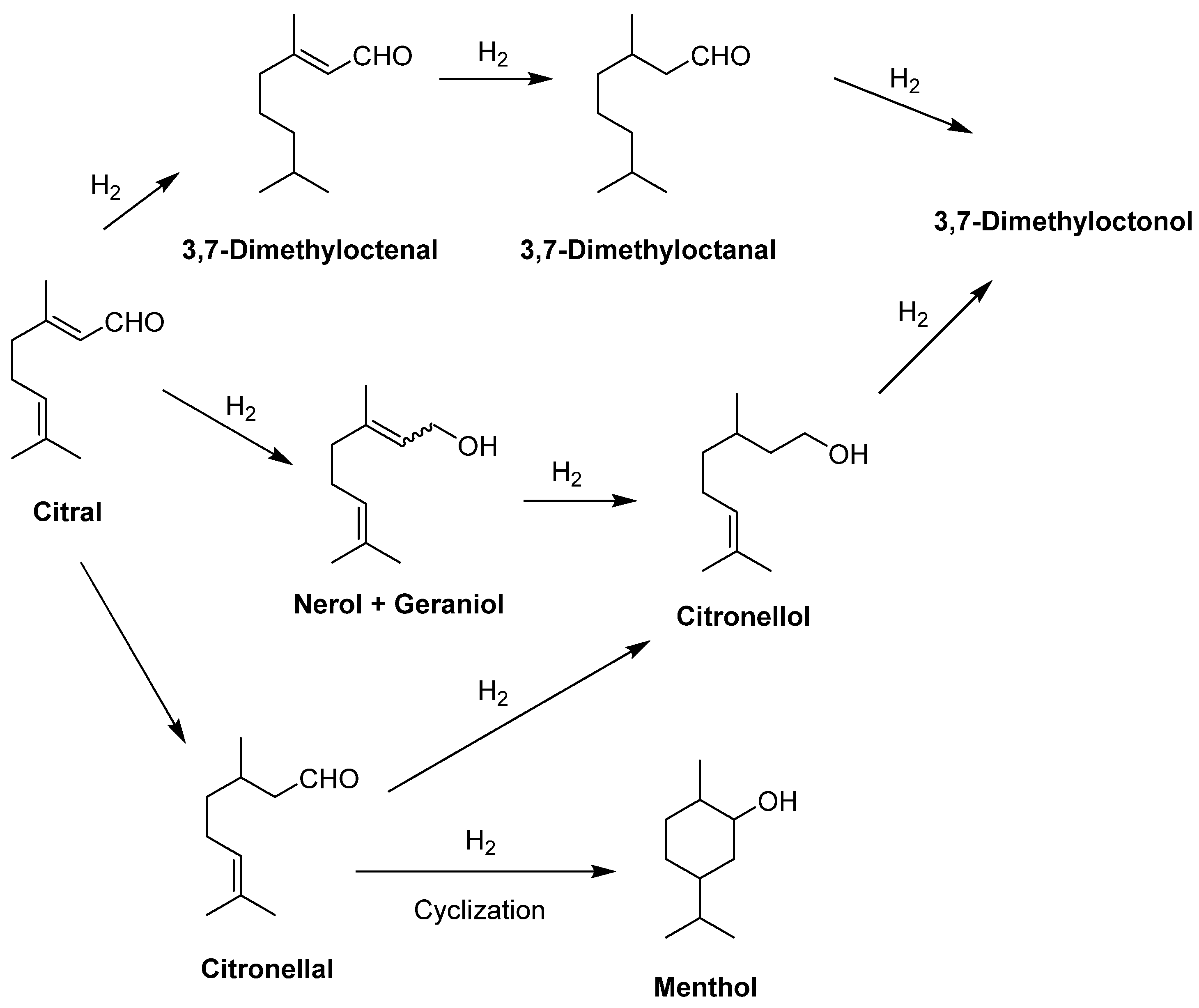 Processes 13 02685 g017