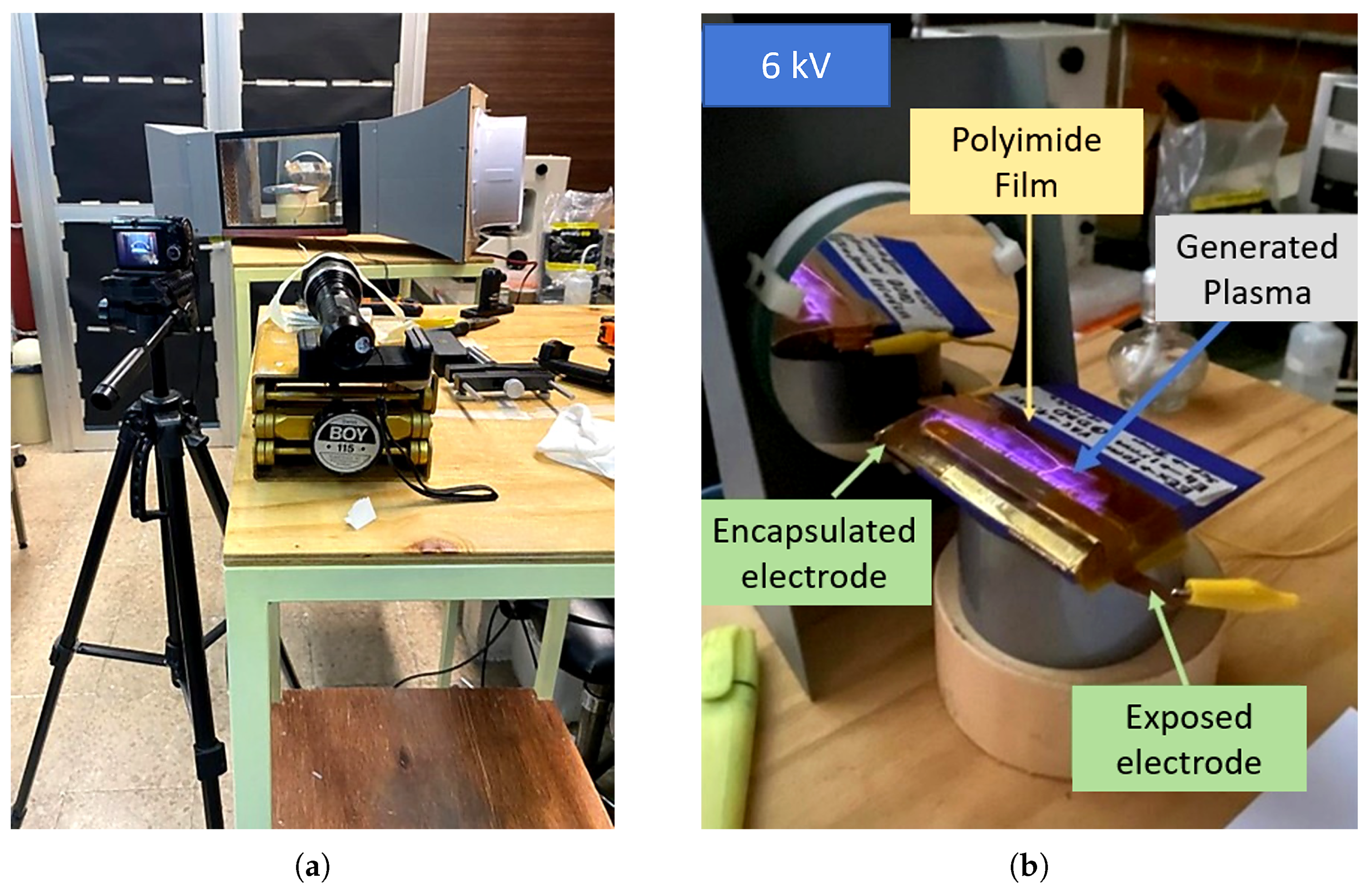 Processes 13 02725 g010