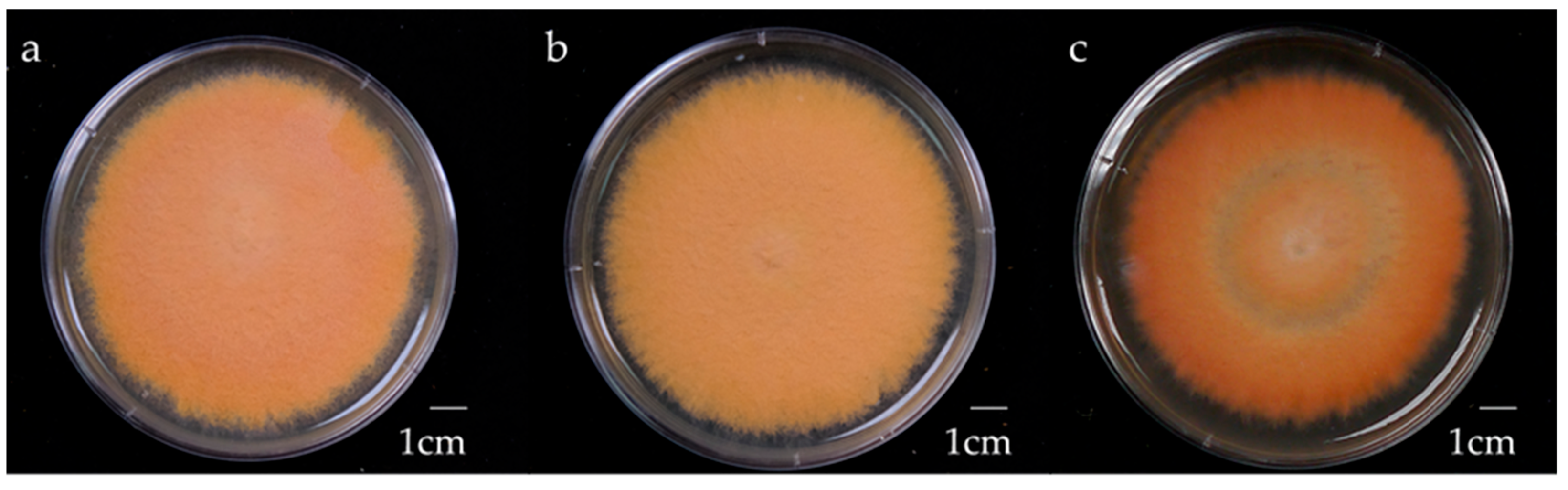 Processes 13 02732 g001