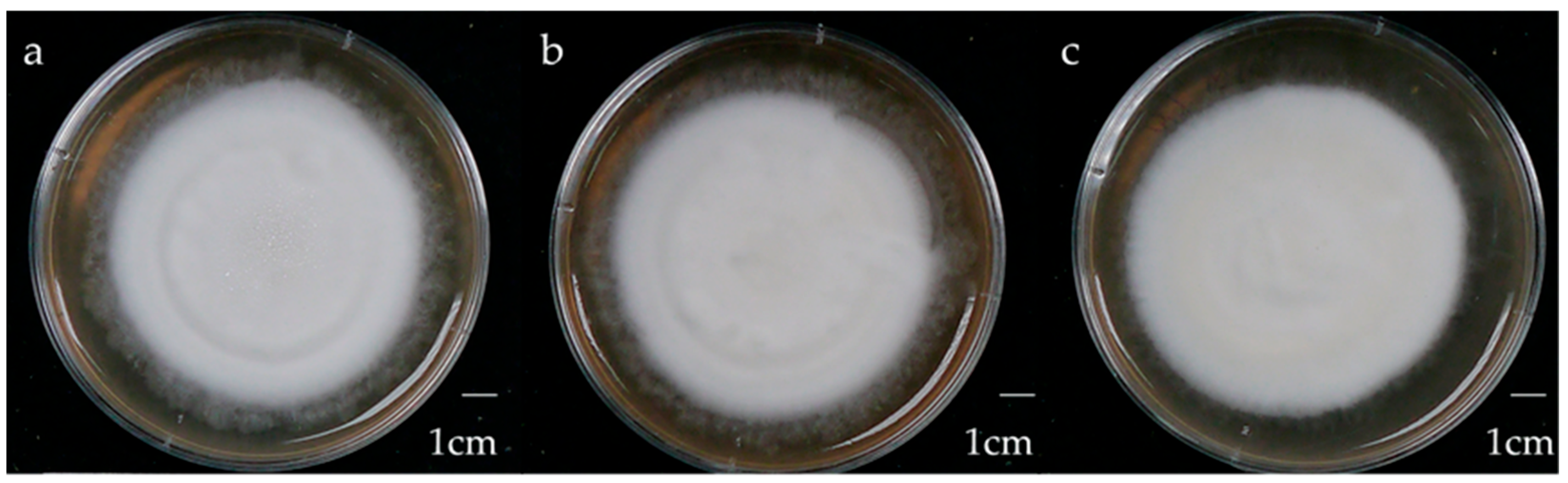 Processes 13 02732 g002