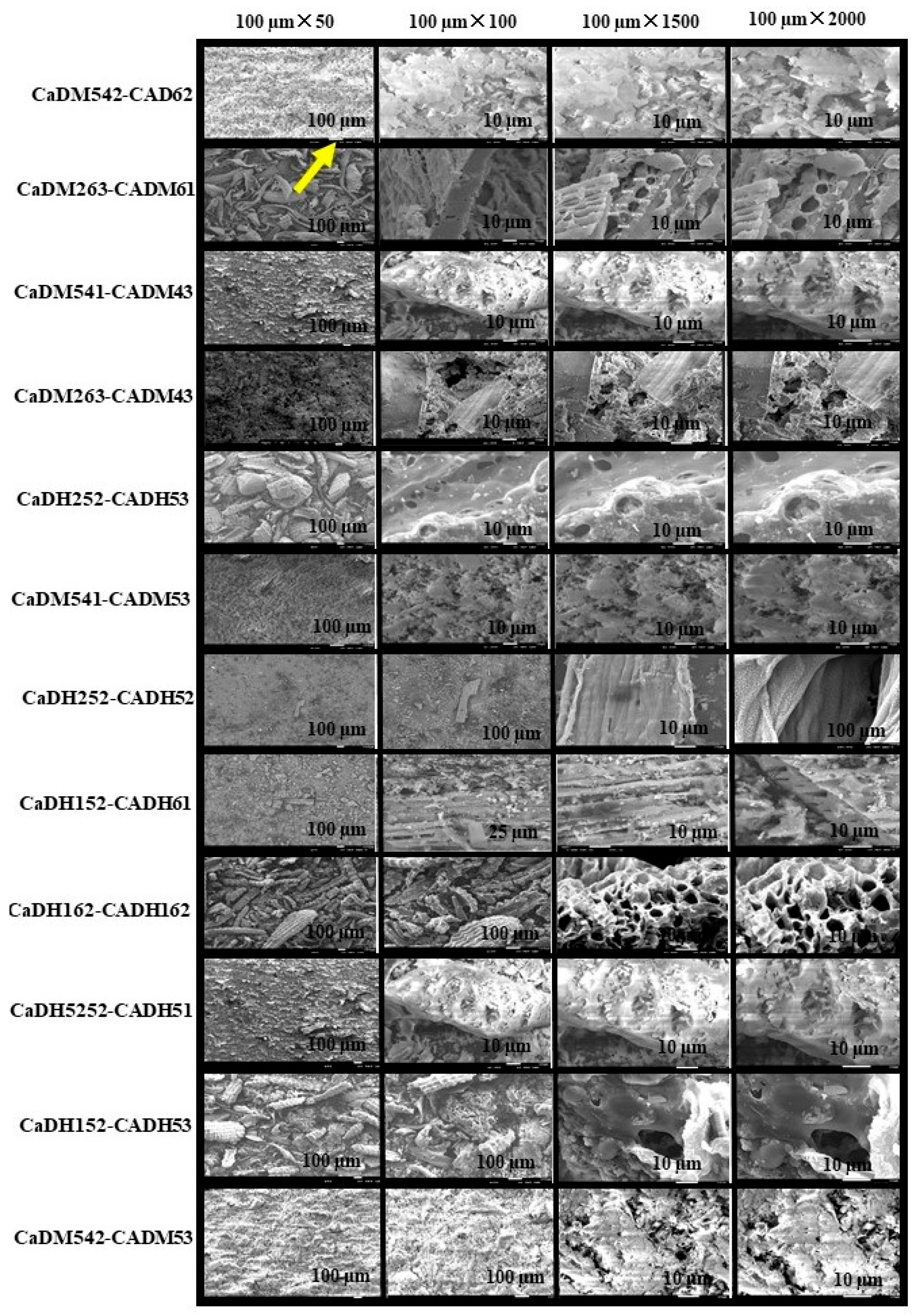 Processes 13 02748 g002