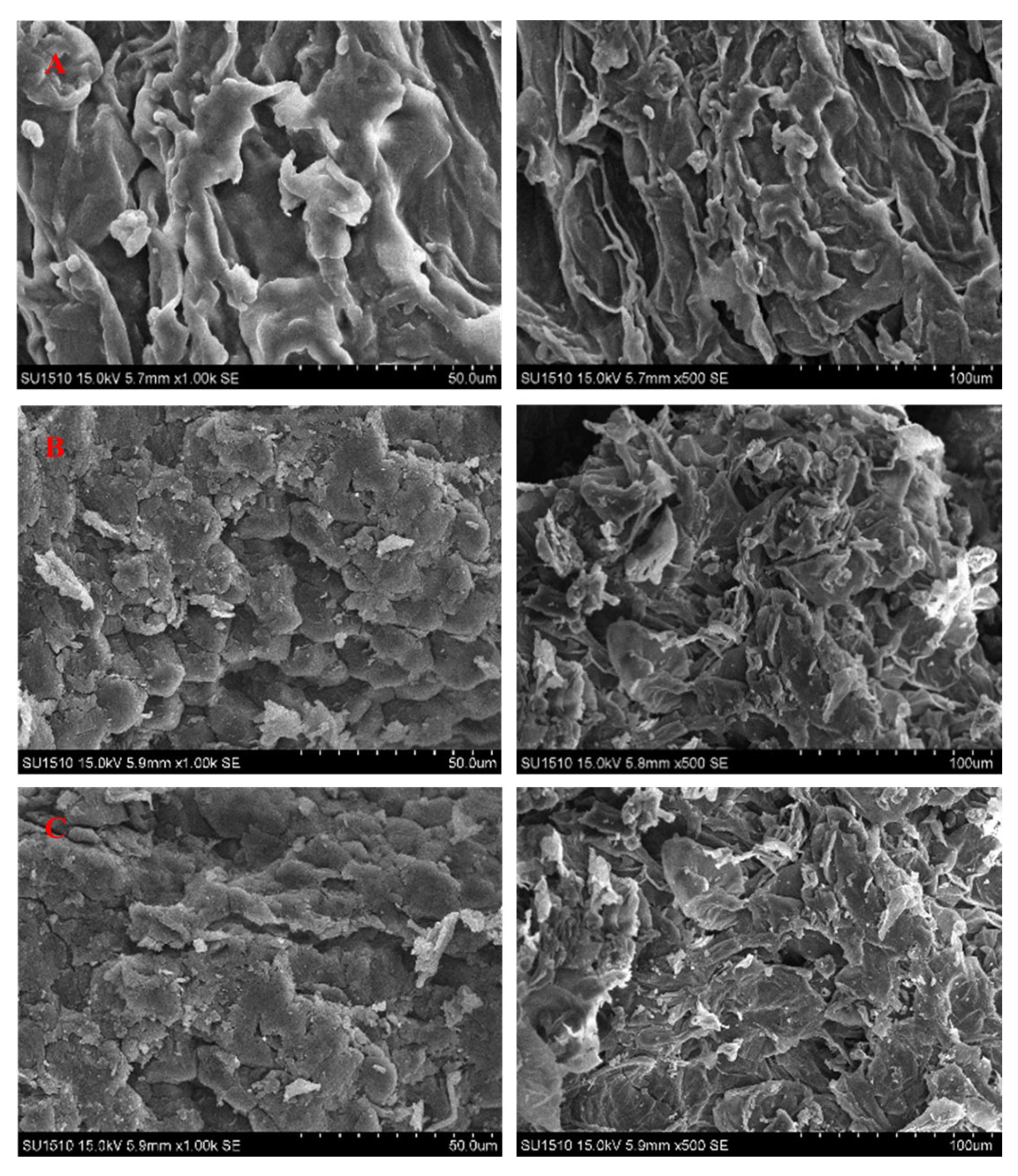 Processes 13 02768 g004 Processes 13 02768 g004