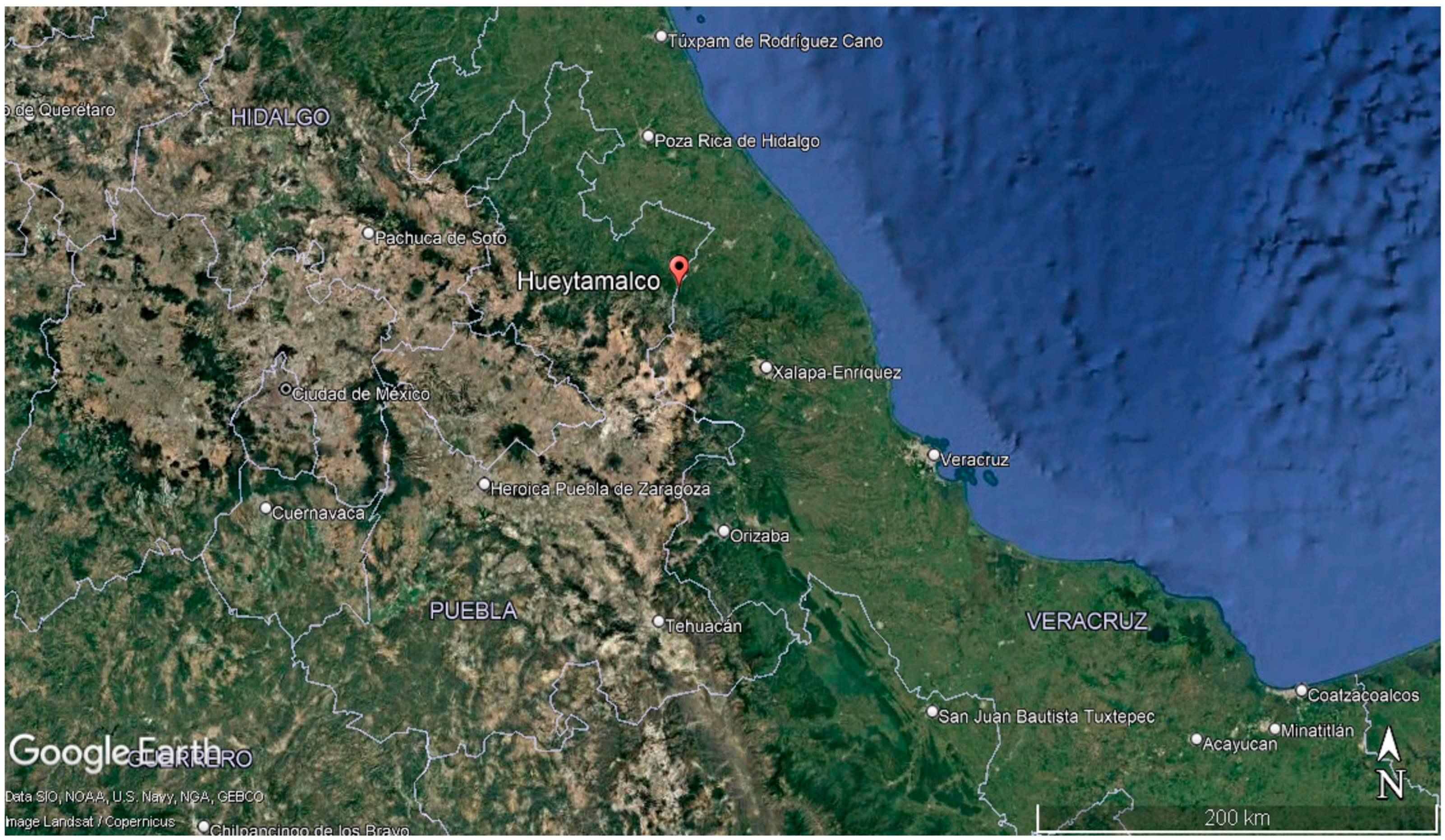 Processes 13 02788 g001