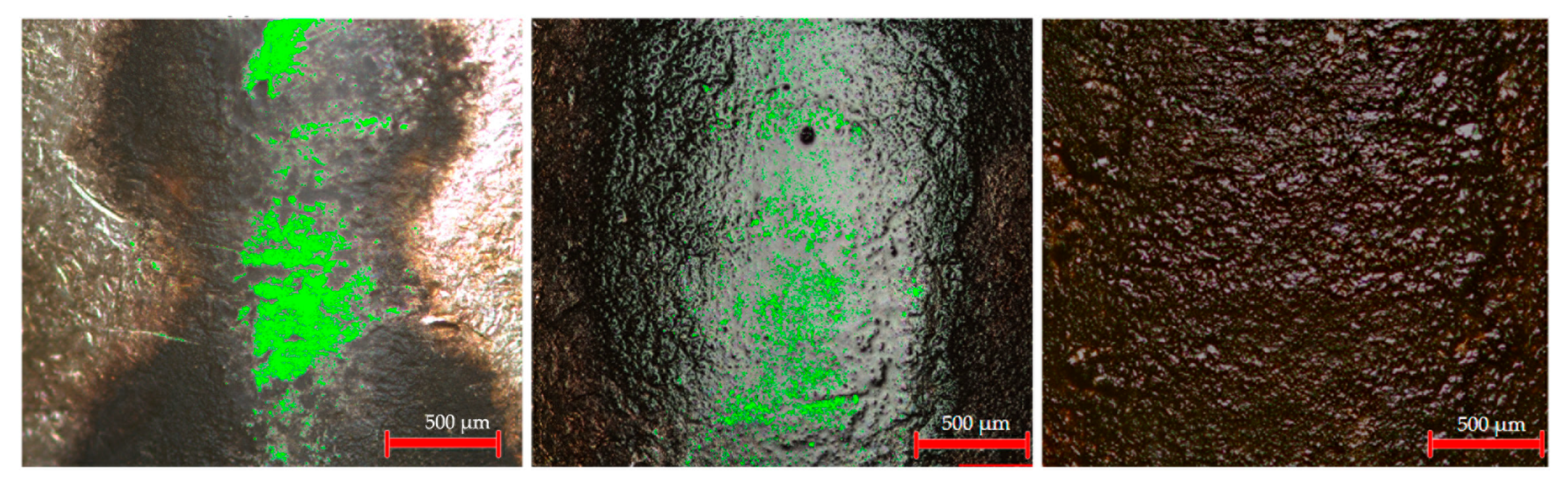 Processes 13 02808 g008