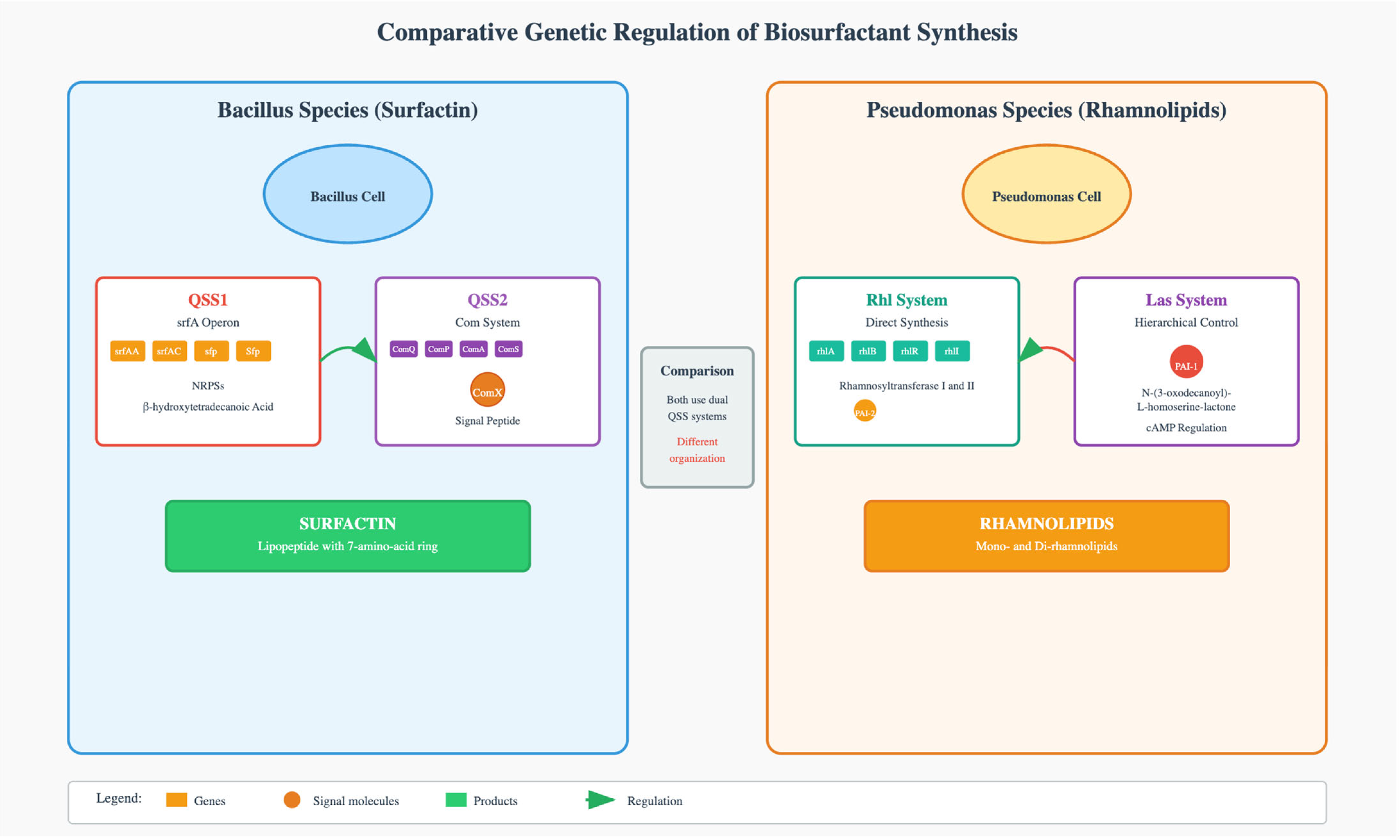 Processes 13 02811 g003