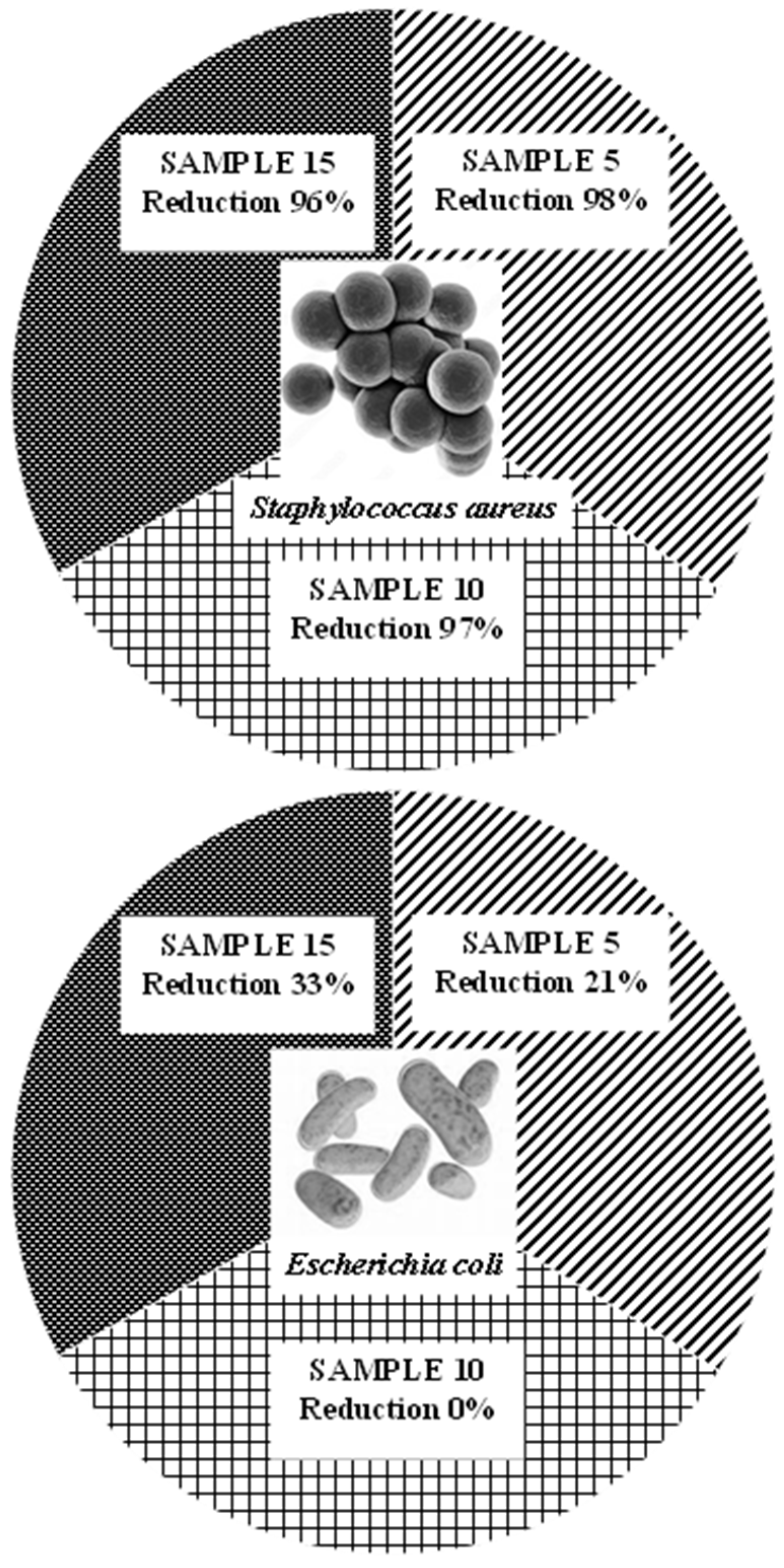 Processes 13 02844 g003