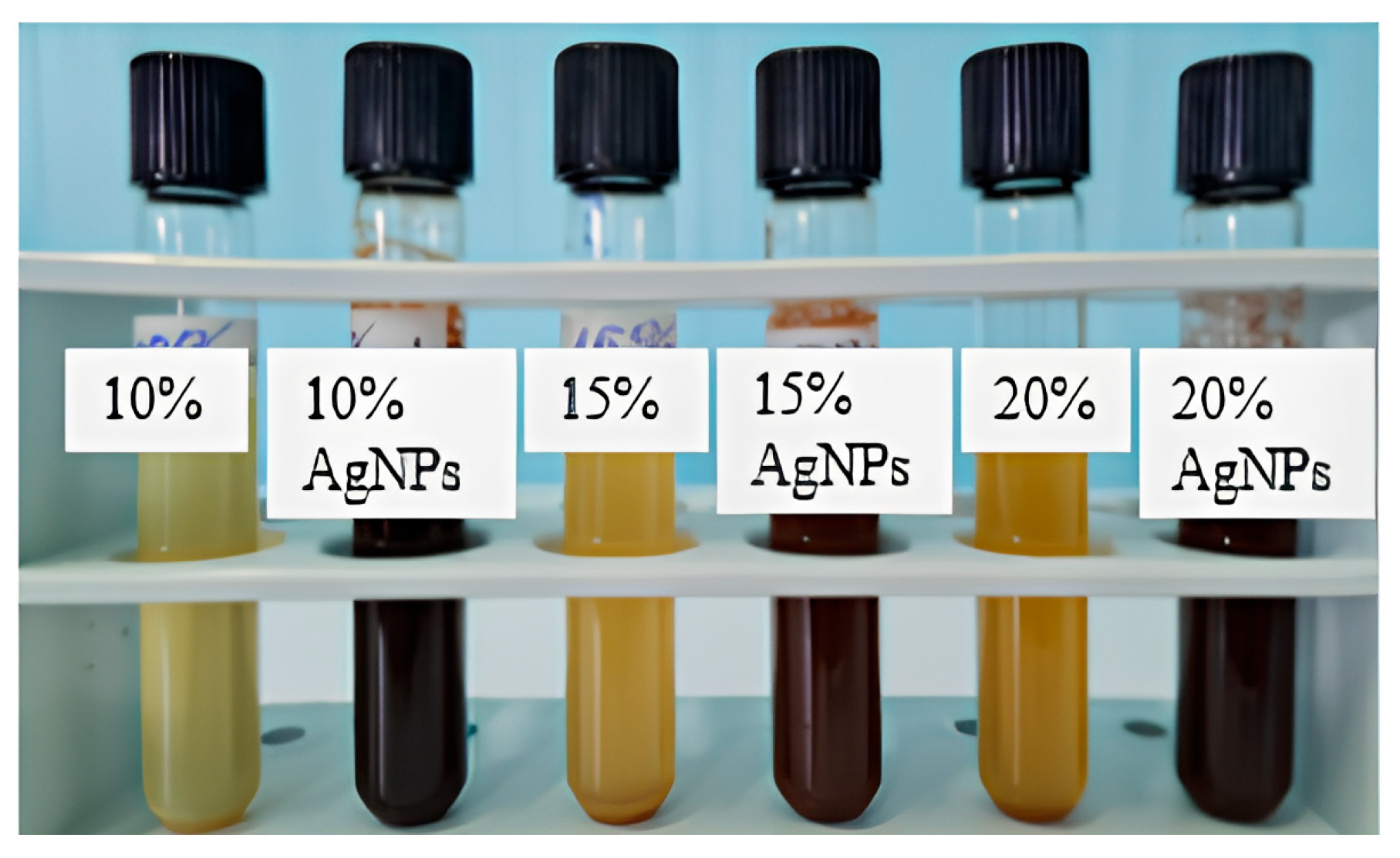 Processes 13 02861 g001