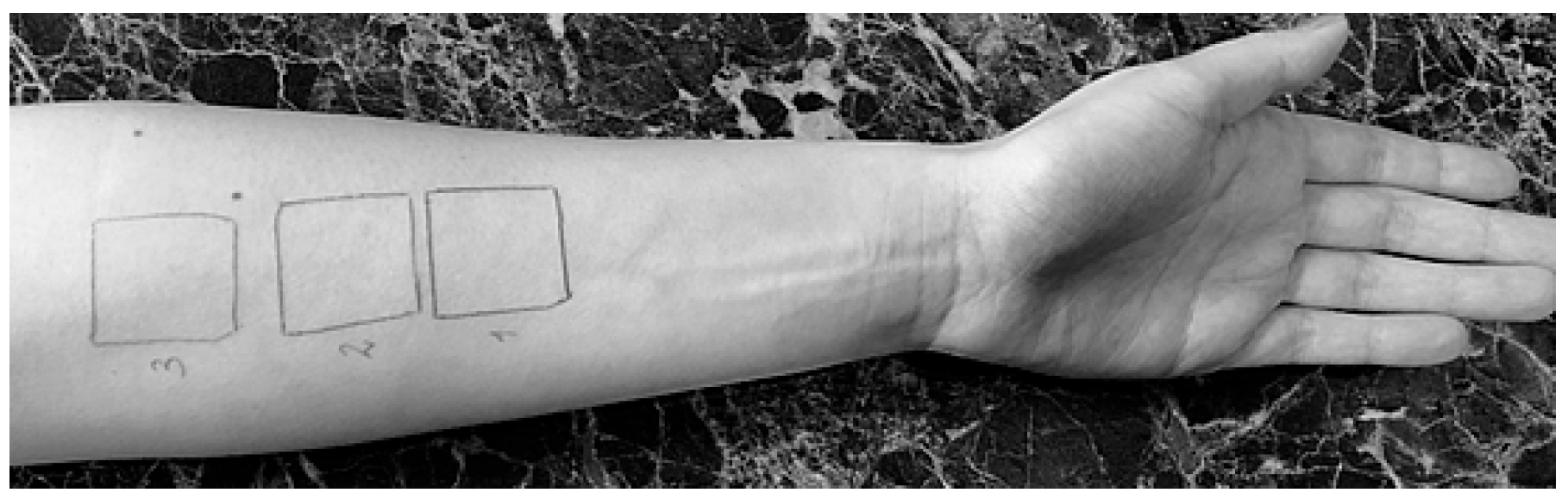 Processes 13 02864 g001