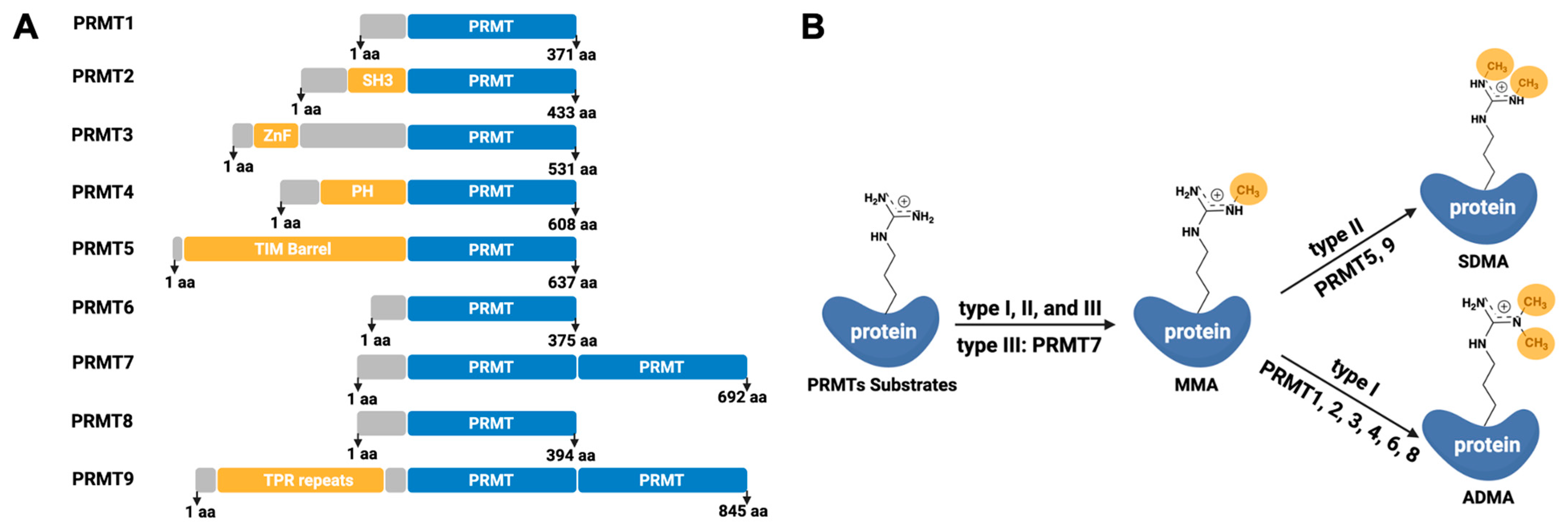 Processes 13 02878 g001