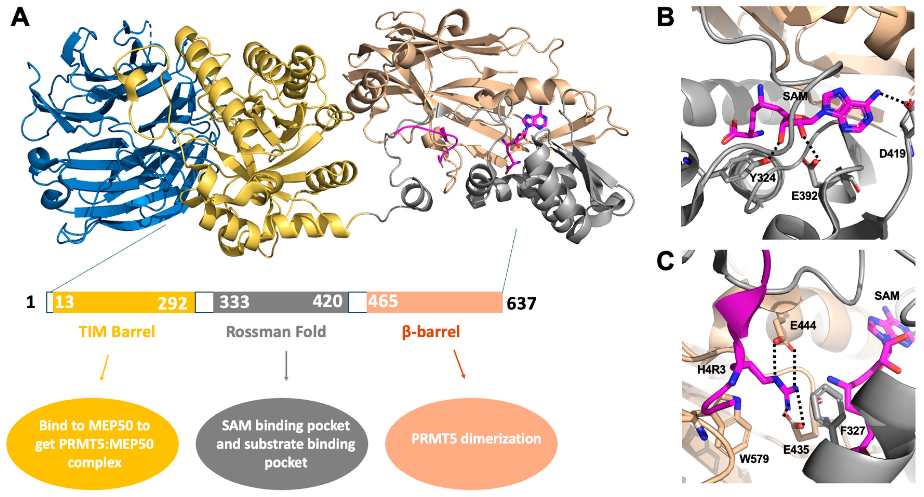 Processes 13 02878 g003