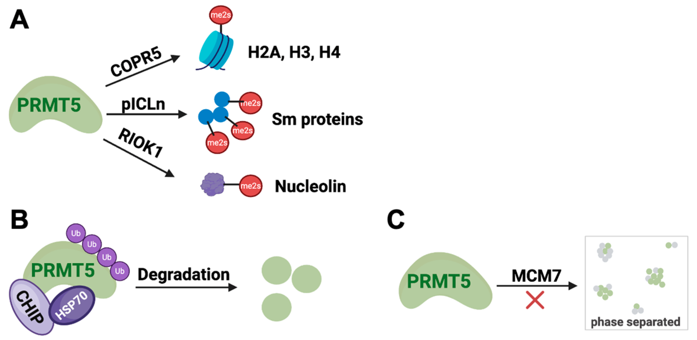 Processes 13 02878 g004