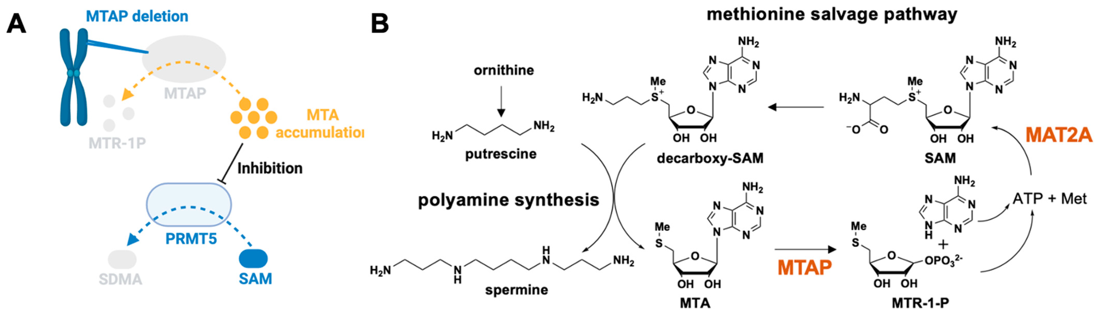Processes 13 02878 g009