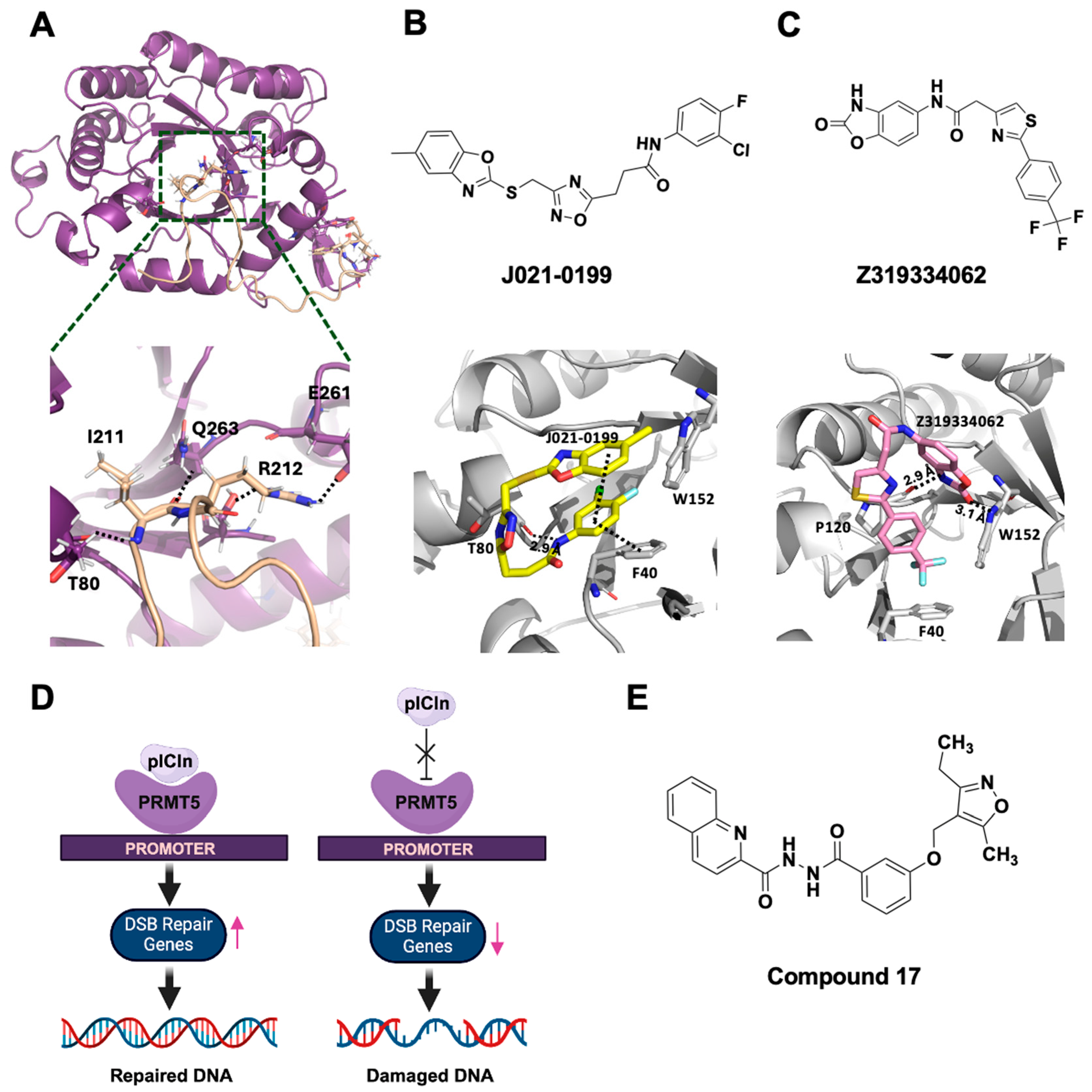Processes 13 02878 g013